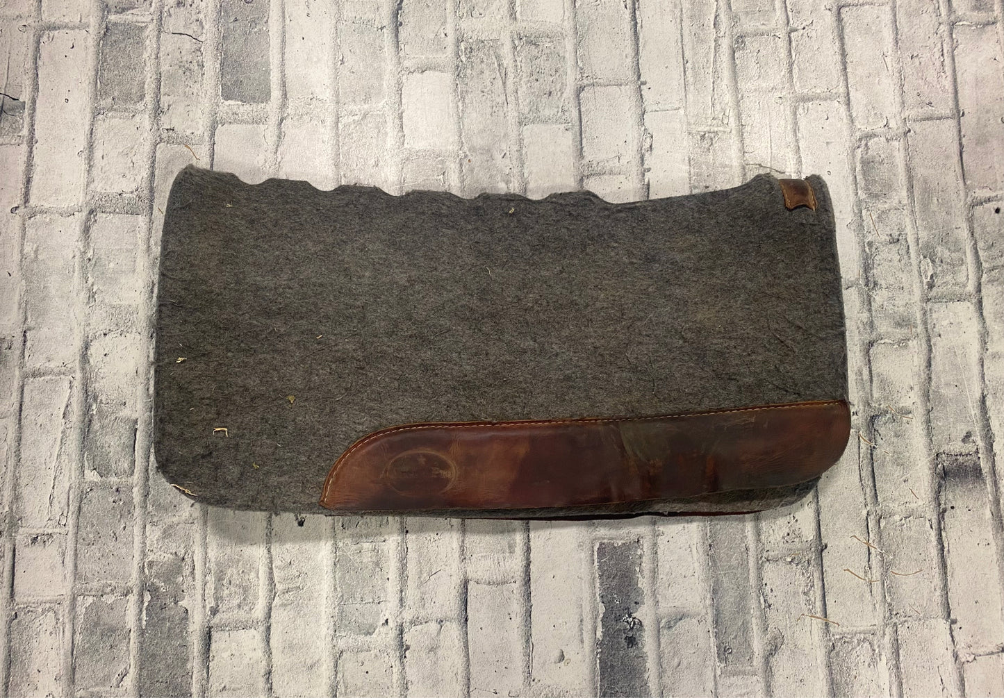 Arena Pro Wool Pad Grey 31 x 31