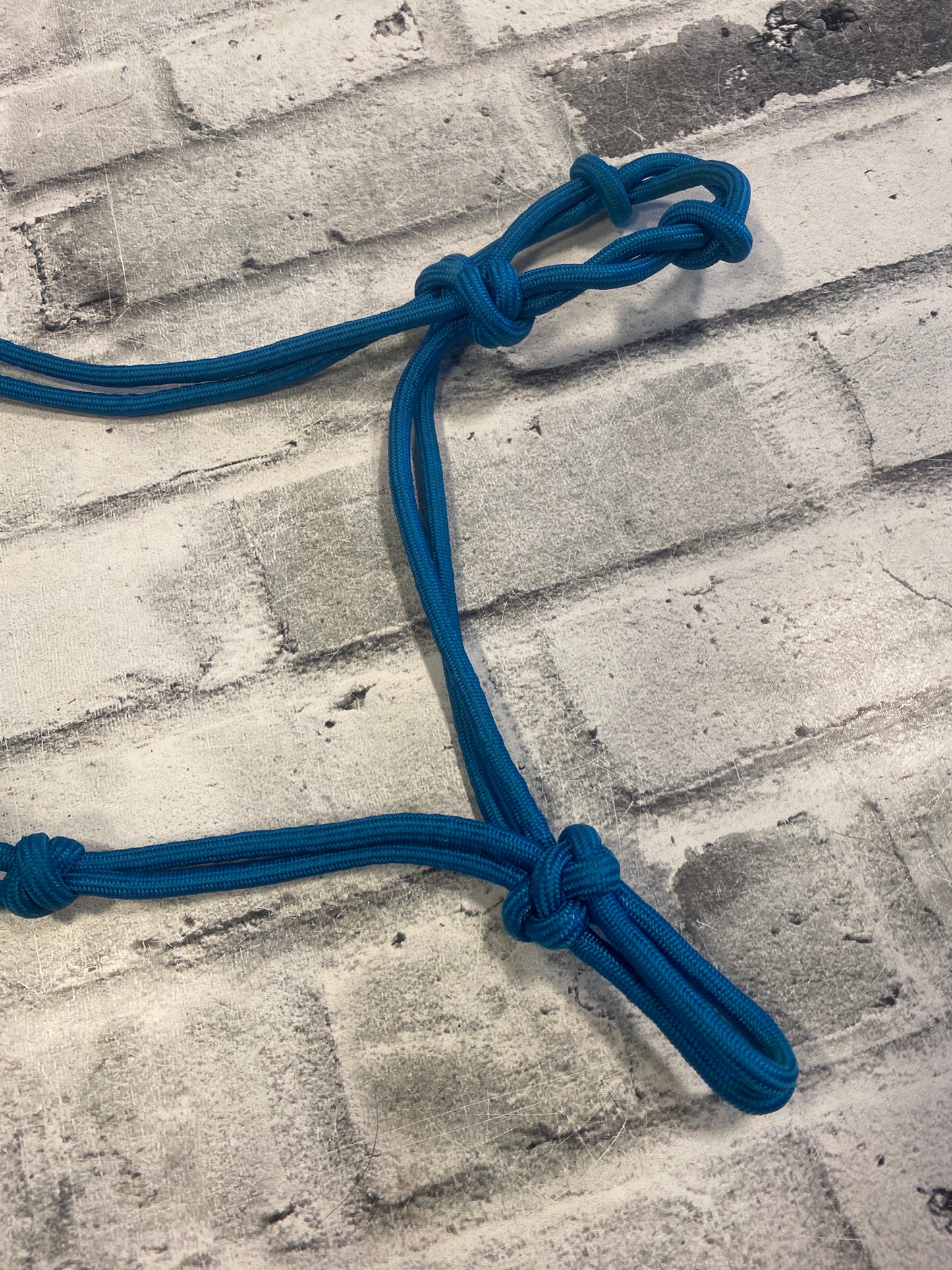 Rope Halter Turq