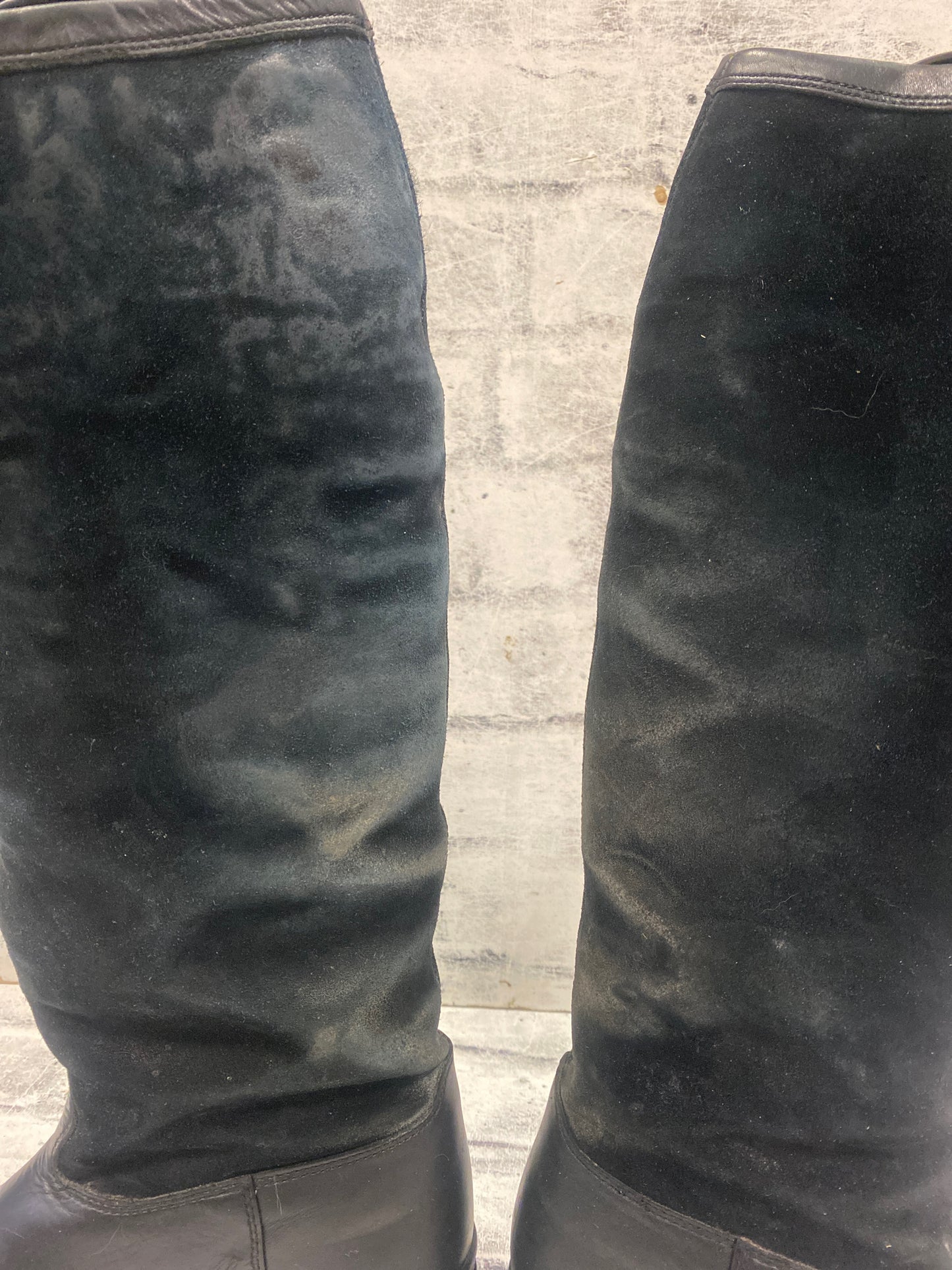 Ariat Insulated Tall Boots Black 10B