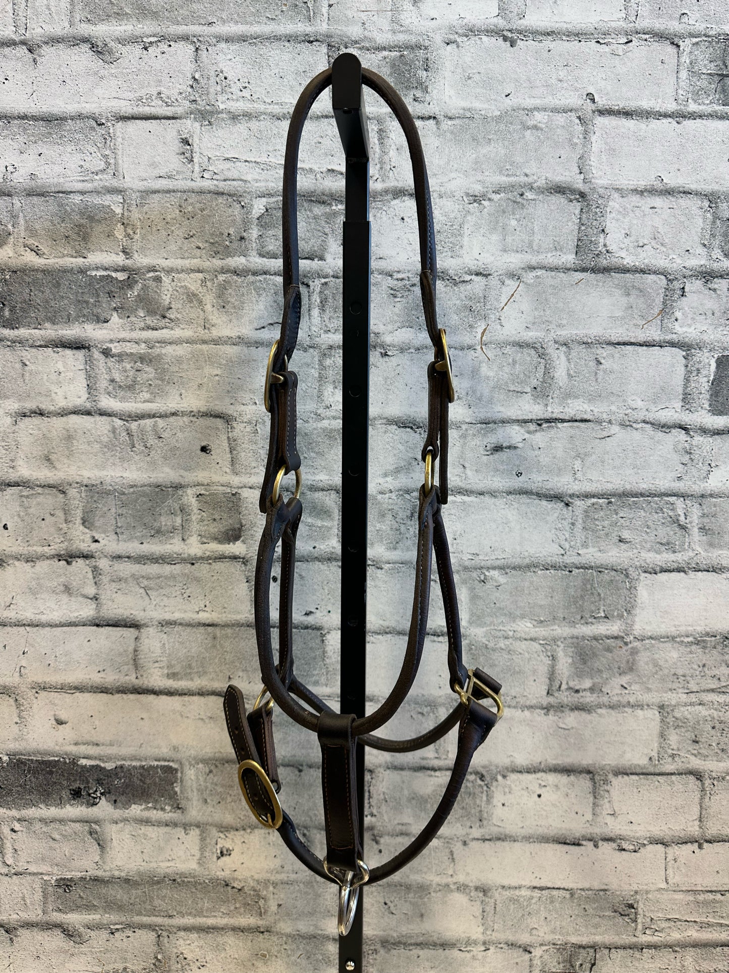 Rolled Leather Halter Brown F