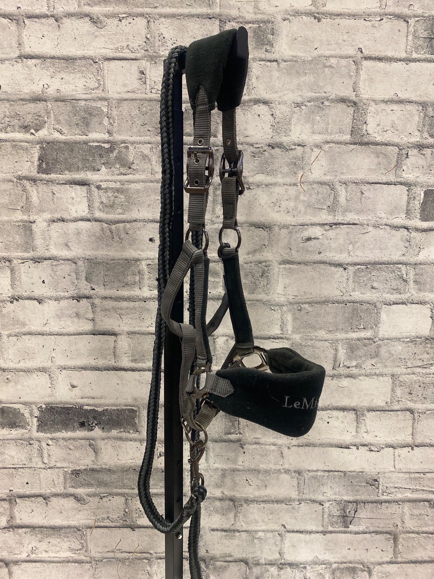 LeMieux Nylon Halter + Lead Grey/Black Full