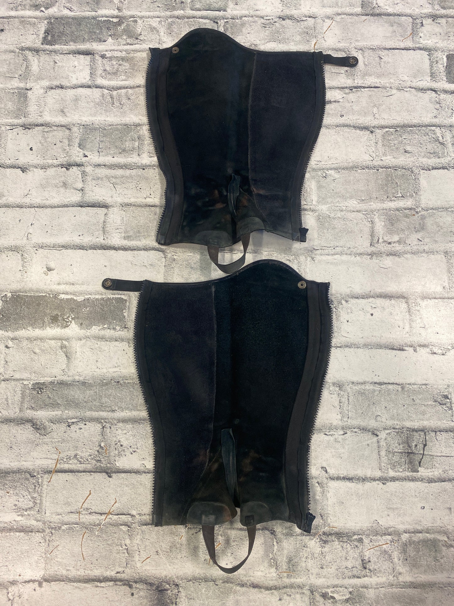 Tucci Half Chaps Black H 15" C 12"