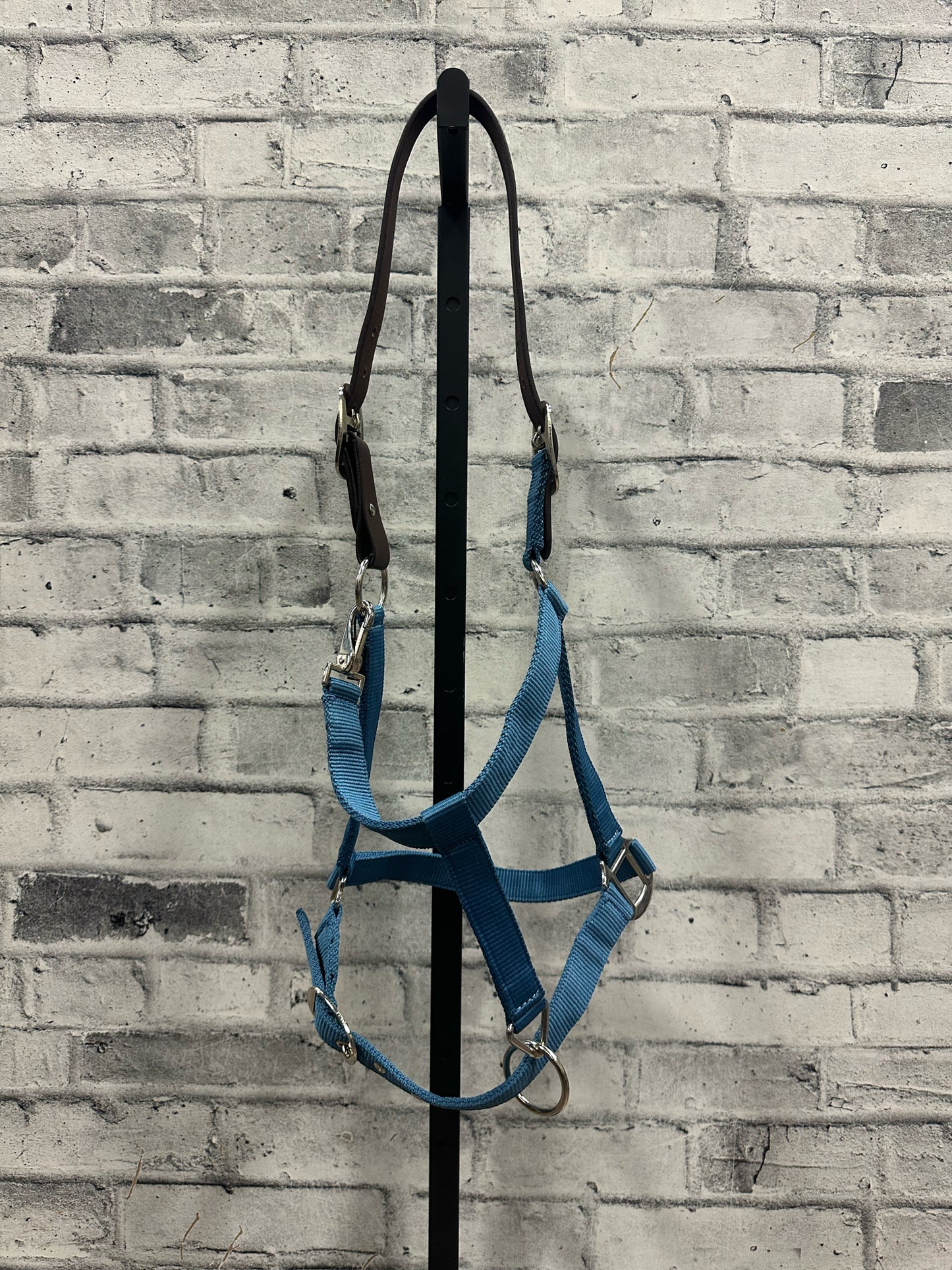 Breakaway Halter Blue F