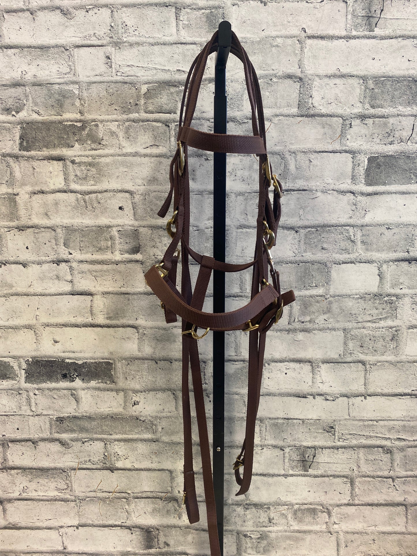 Bad Dog Ranch Nylon Headstall + Reins Brown F NEW