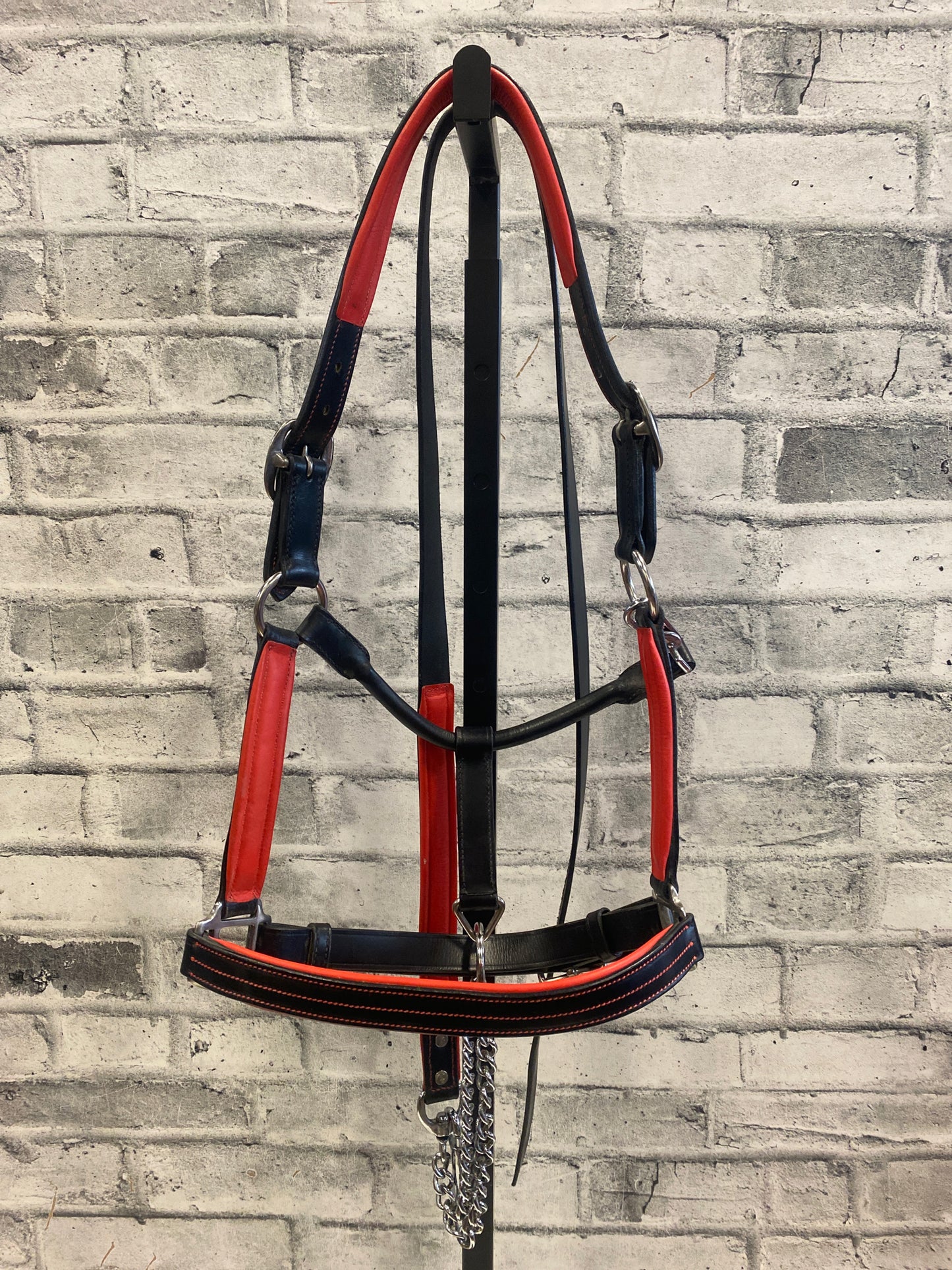Sebastian + Co Leather Halter + Lead Red/Black F