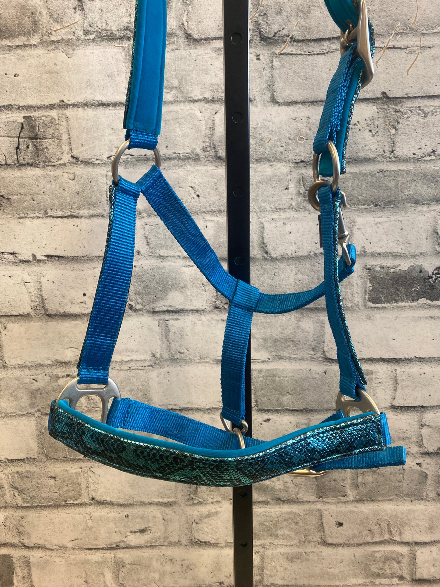 Ger-Ryan Nylon Halter Blue Snakeskin F NEW