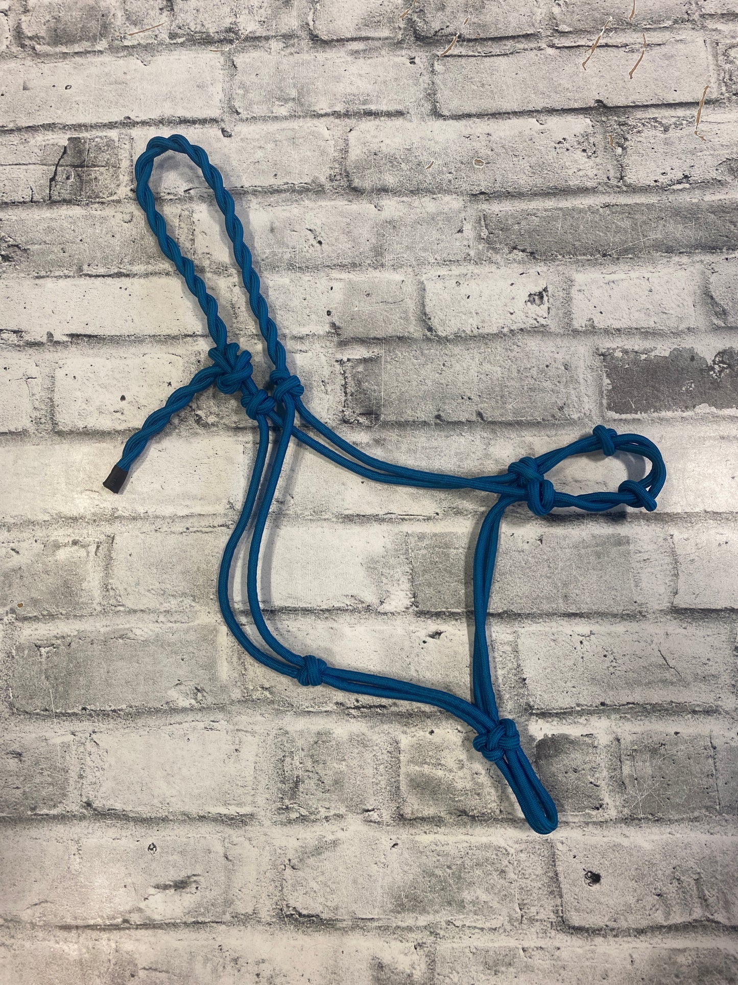 Rope Halter Turq