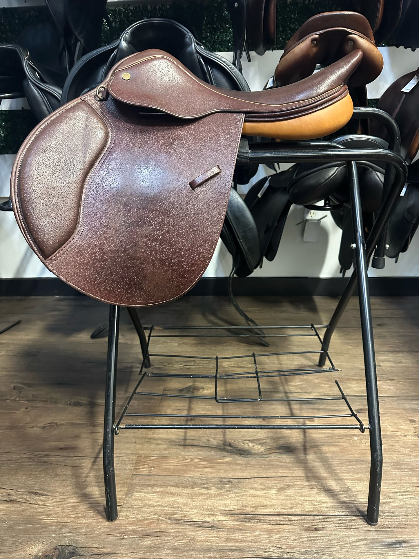 17" Collegiate CC Saddle