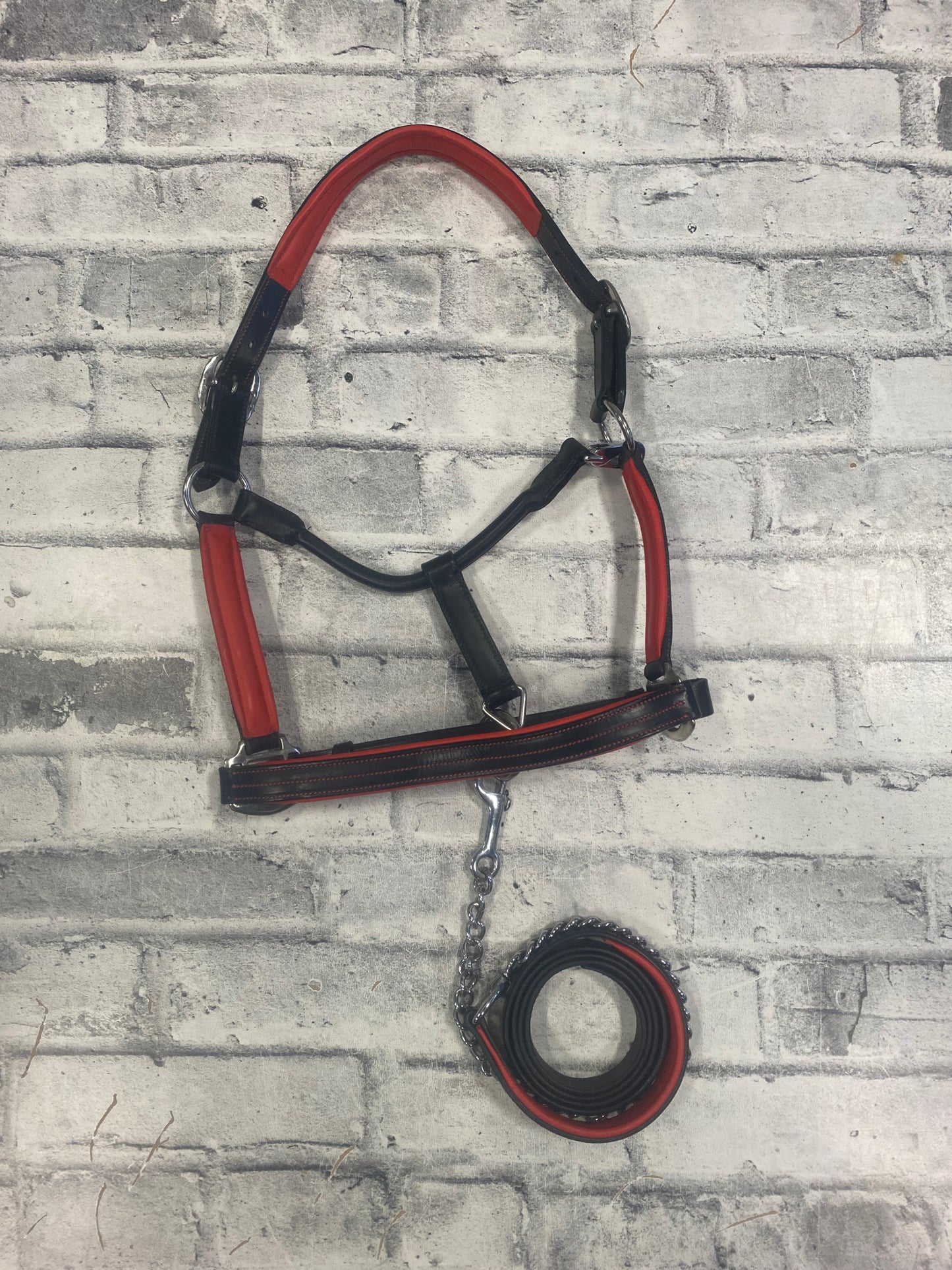 Sebastian + Co Leather Halter + Lead Red/Black F
