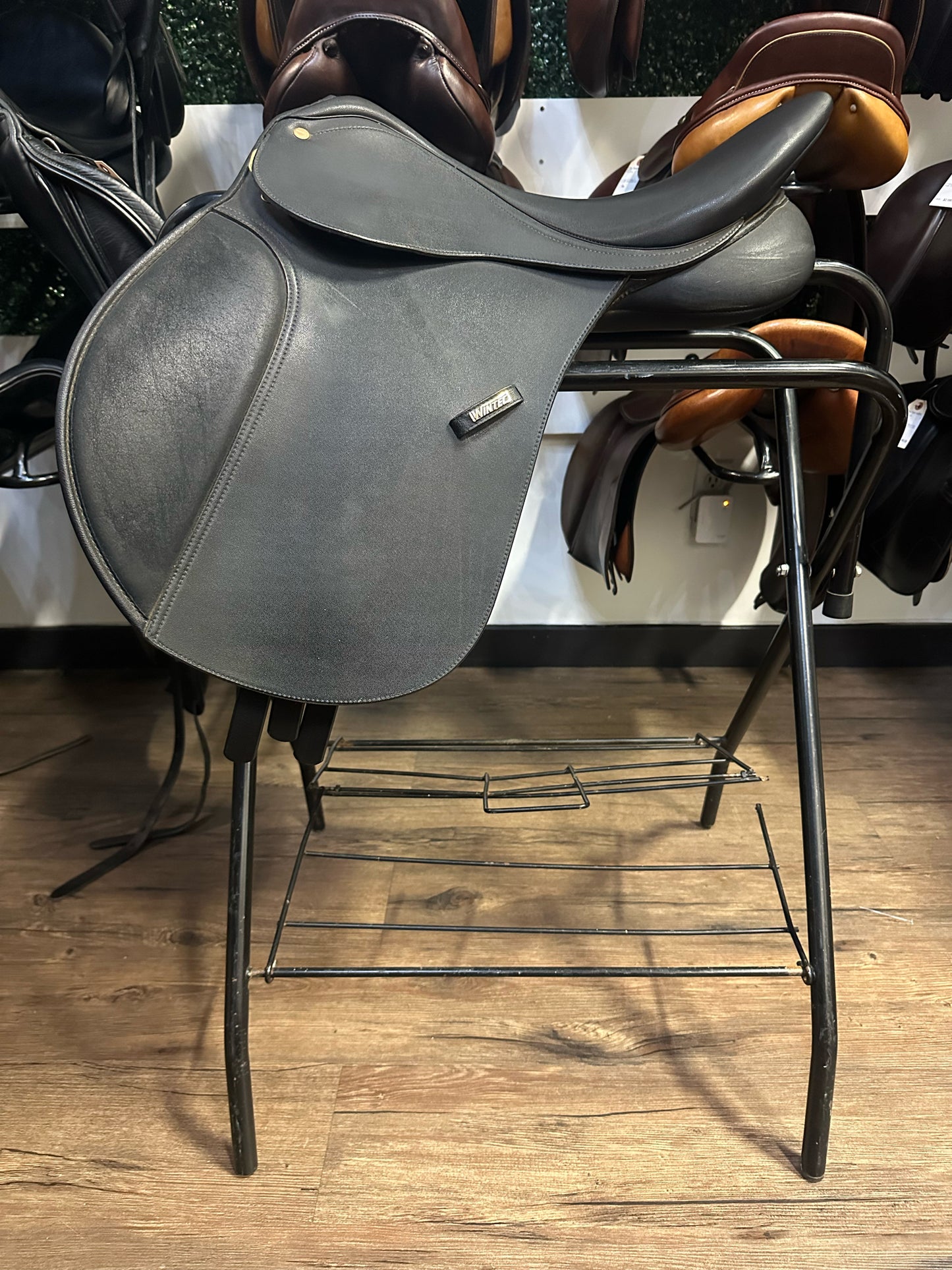 16.5" Wintec AP Saddle Black