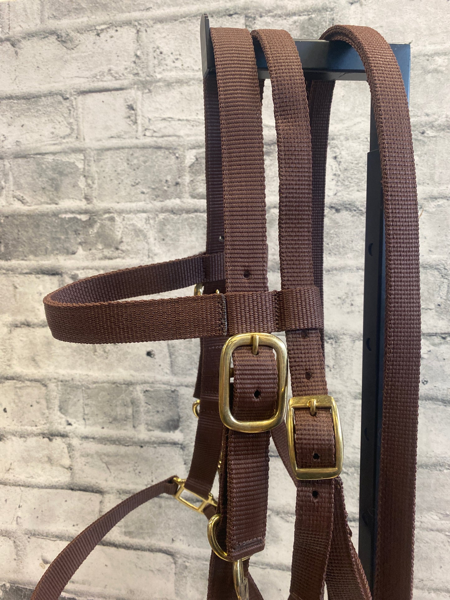 Bad Dog Ranch Nylon Headstall + Reins Brown F NEW