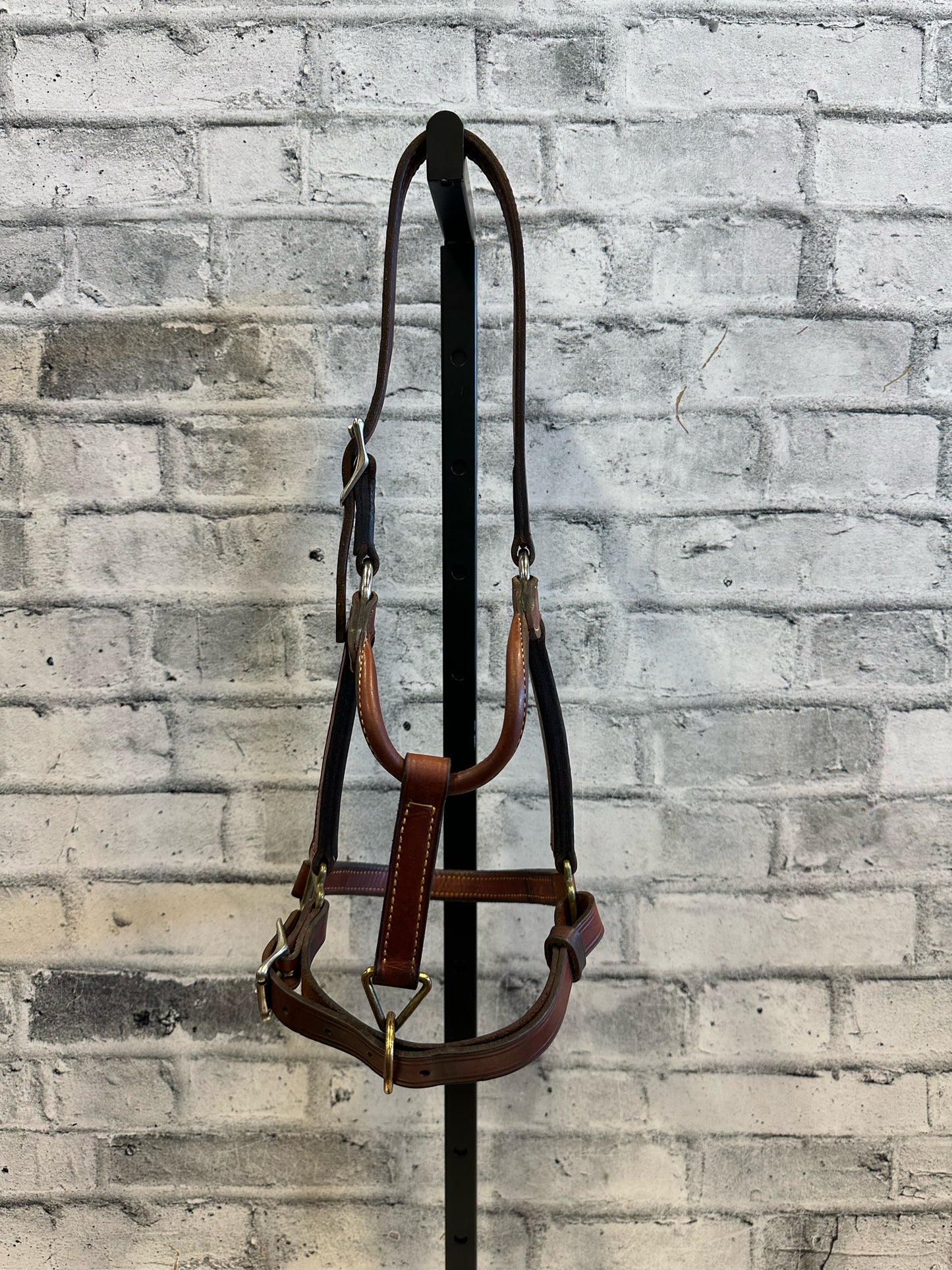 MacPherson Leather Halter Brown Yearling