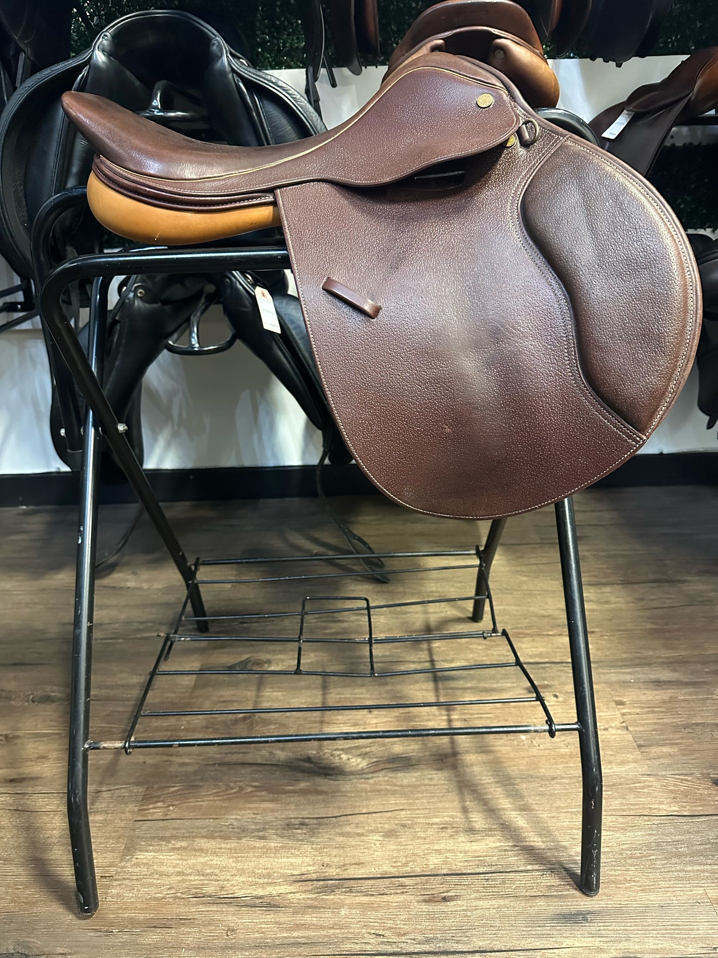 17" Collegiate CC Saddle