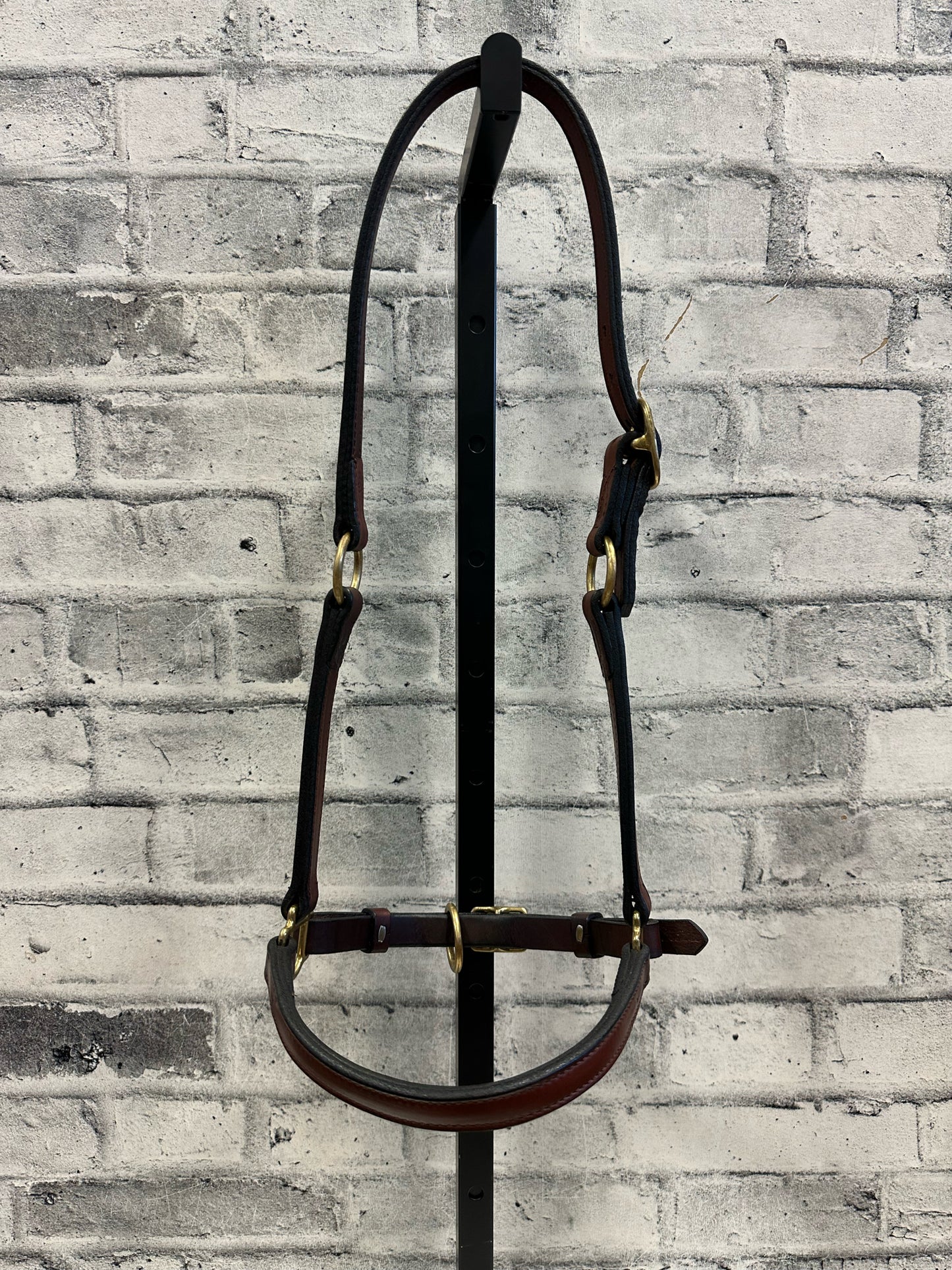 Weaver Leather Grooming Halter F