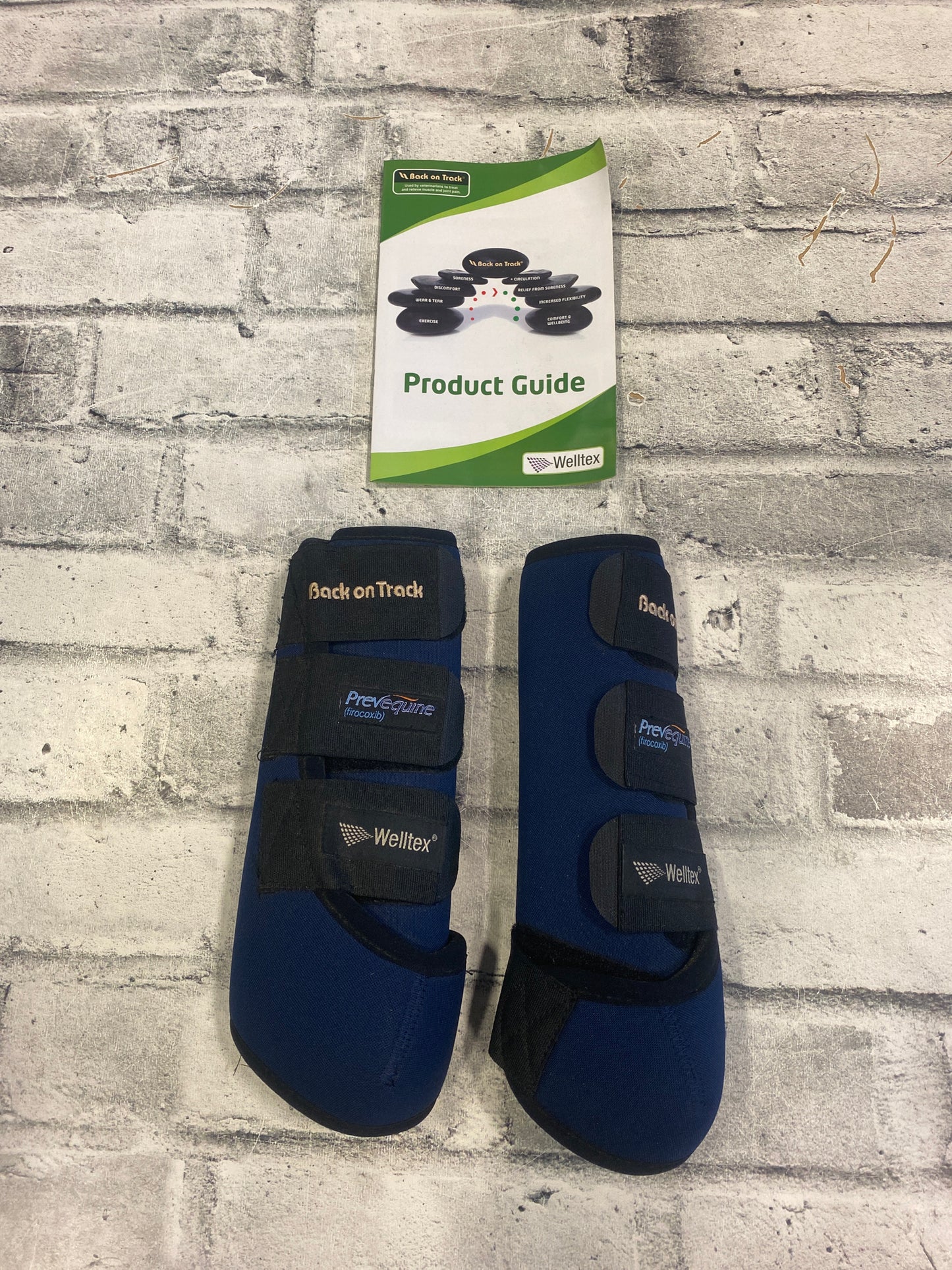 Back on Track Opal Exercise Boots Front Blue L