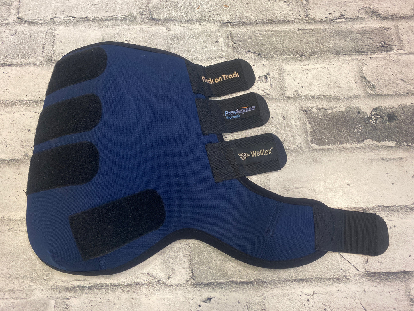 Back on Track Opal Exercise Boots Front Blue L