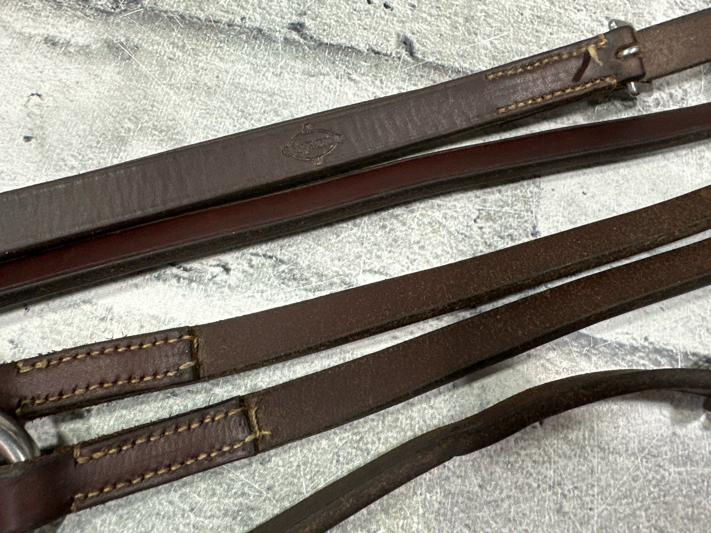 Edgewood Flat Running Martingale Horse