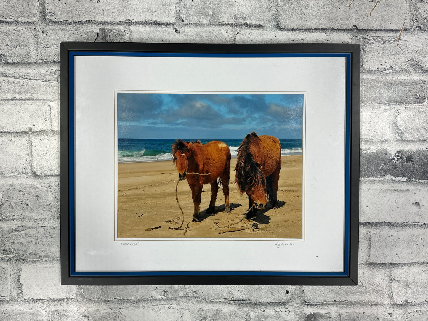 Debra Garside "Survivors" Framed Photo