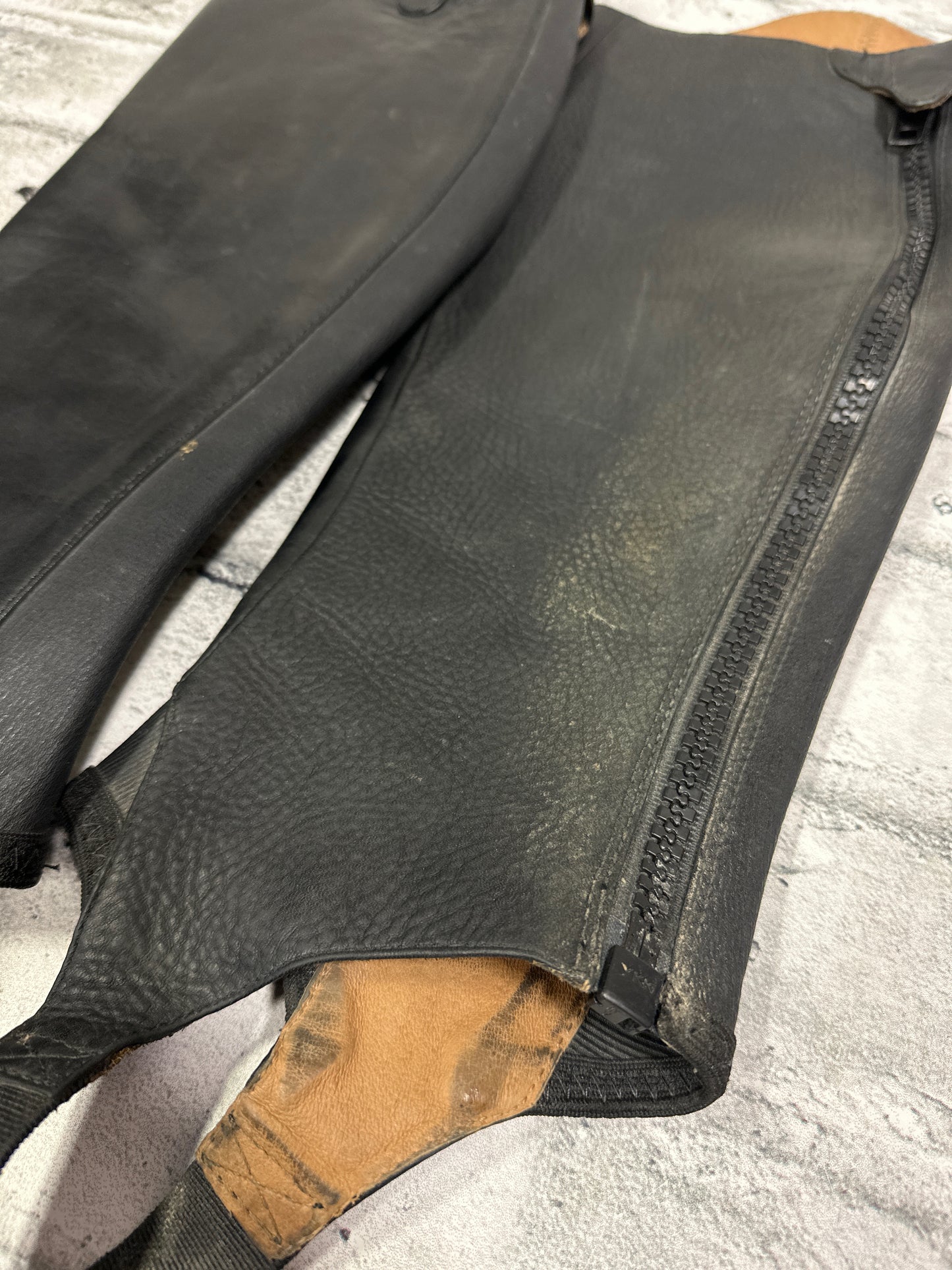 Ariat Covington Half Chaps M