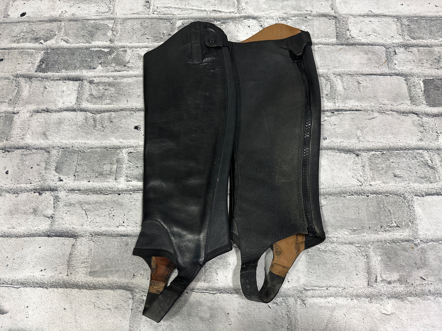 Ariat Covington Half Chaps M