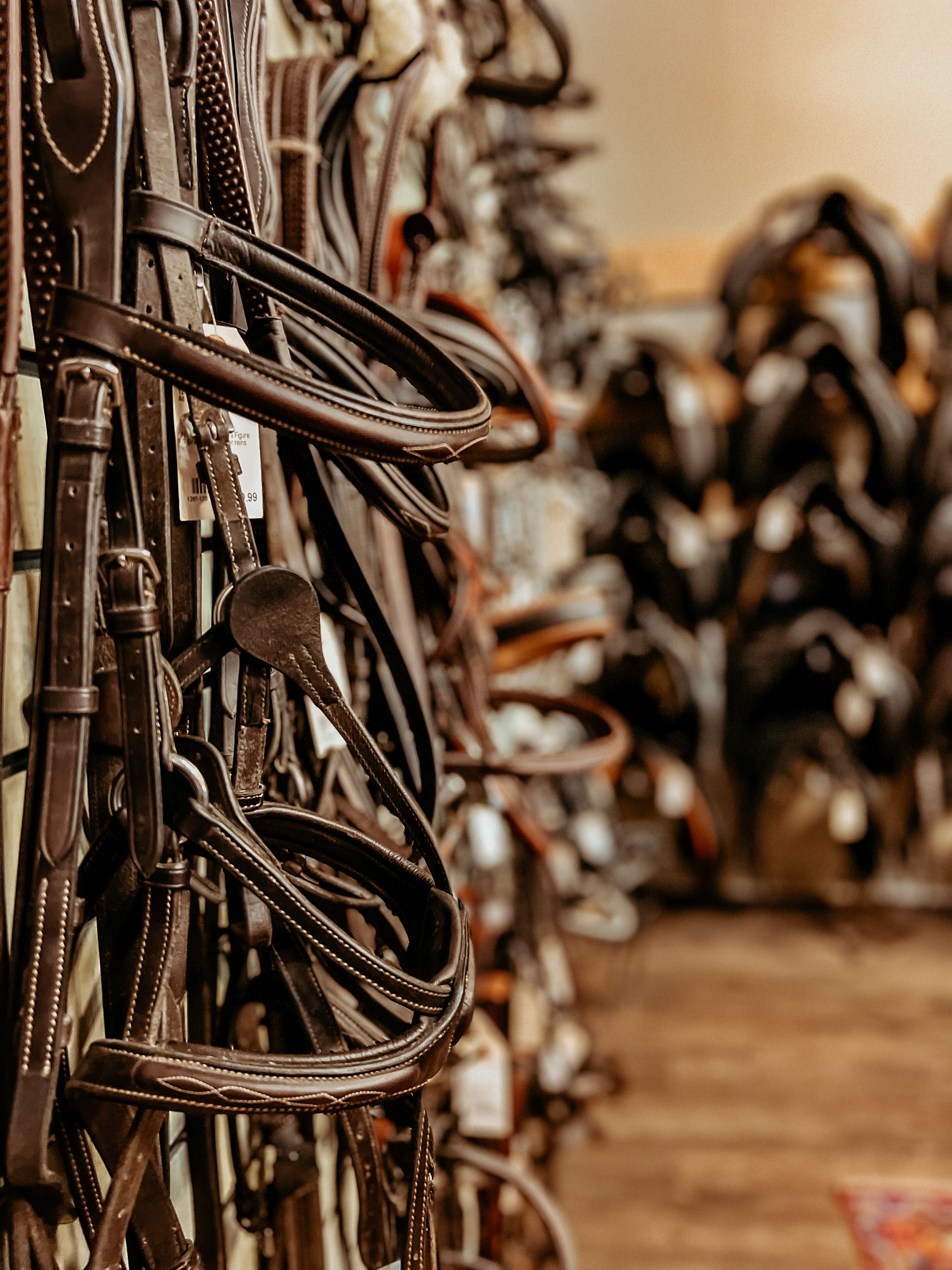 The Tack Addict | BC's Best Equestrian Consignment