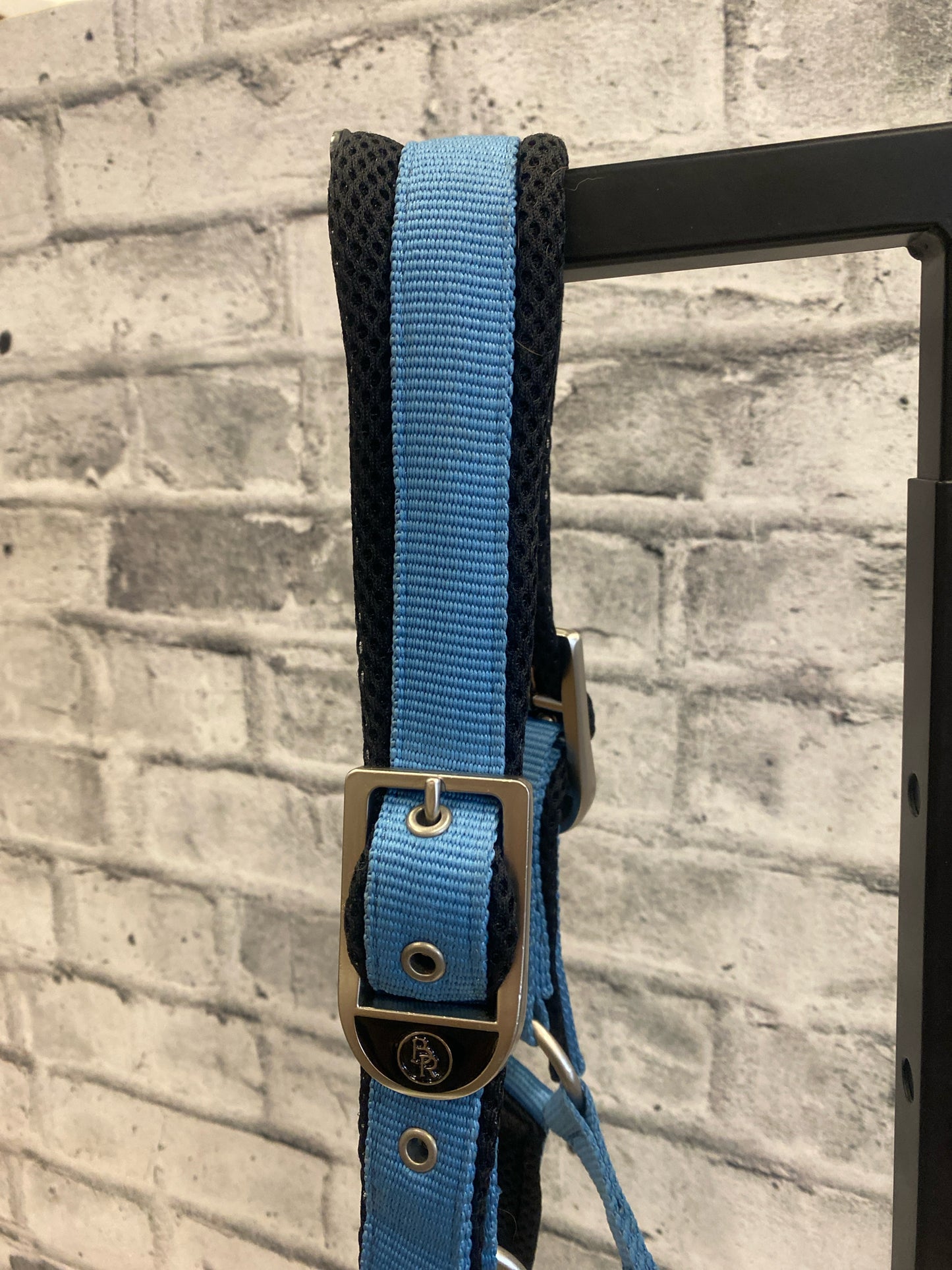 BR Padded Nylon Halter Captain's Blue F NEW