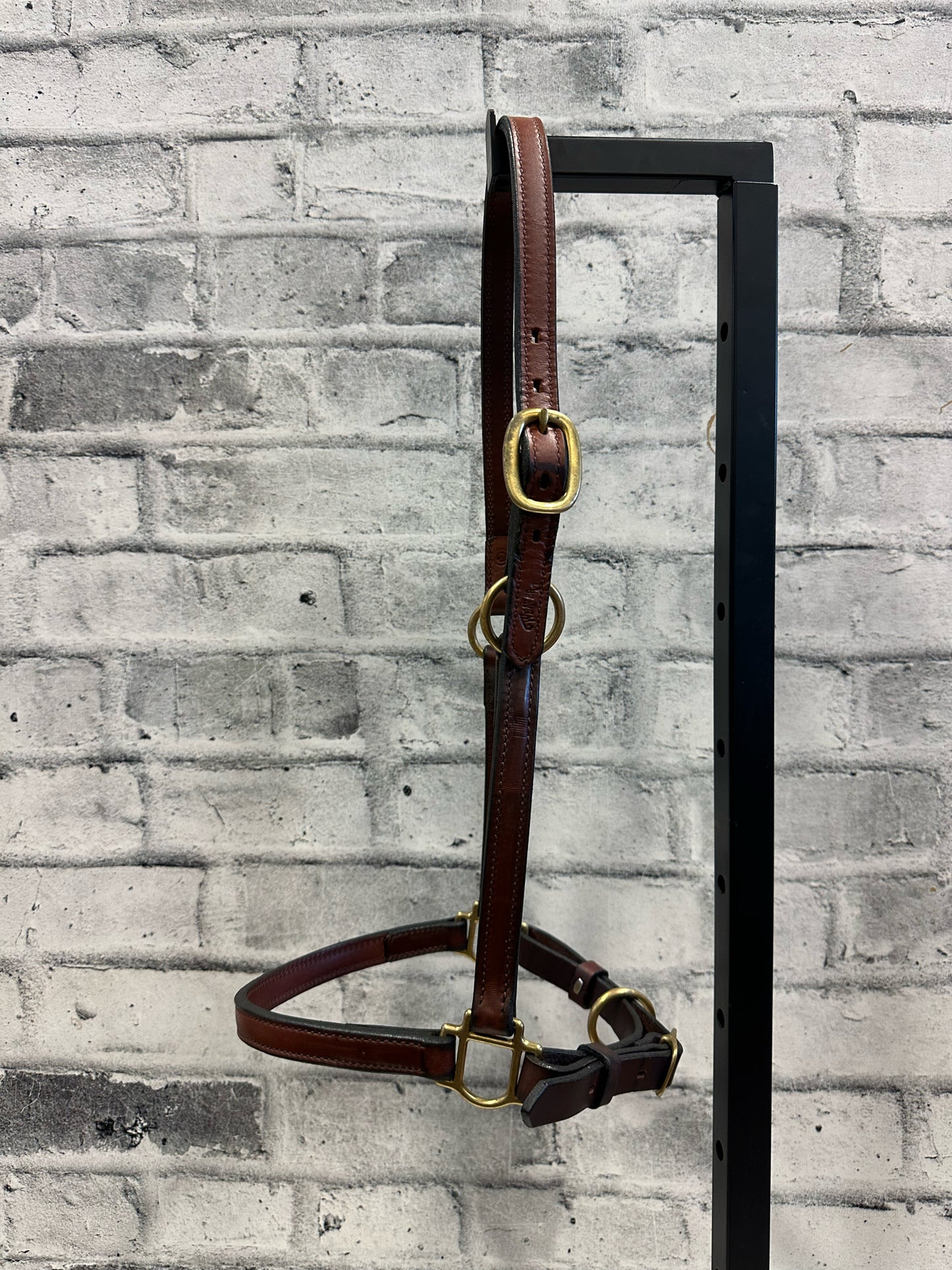 Weaver Leather Grooming Halter F