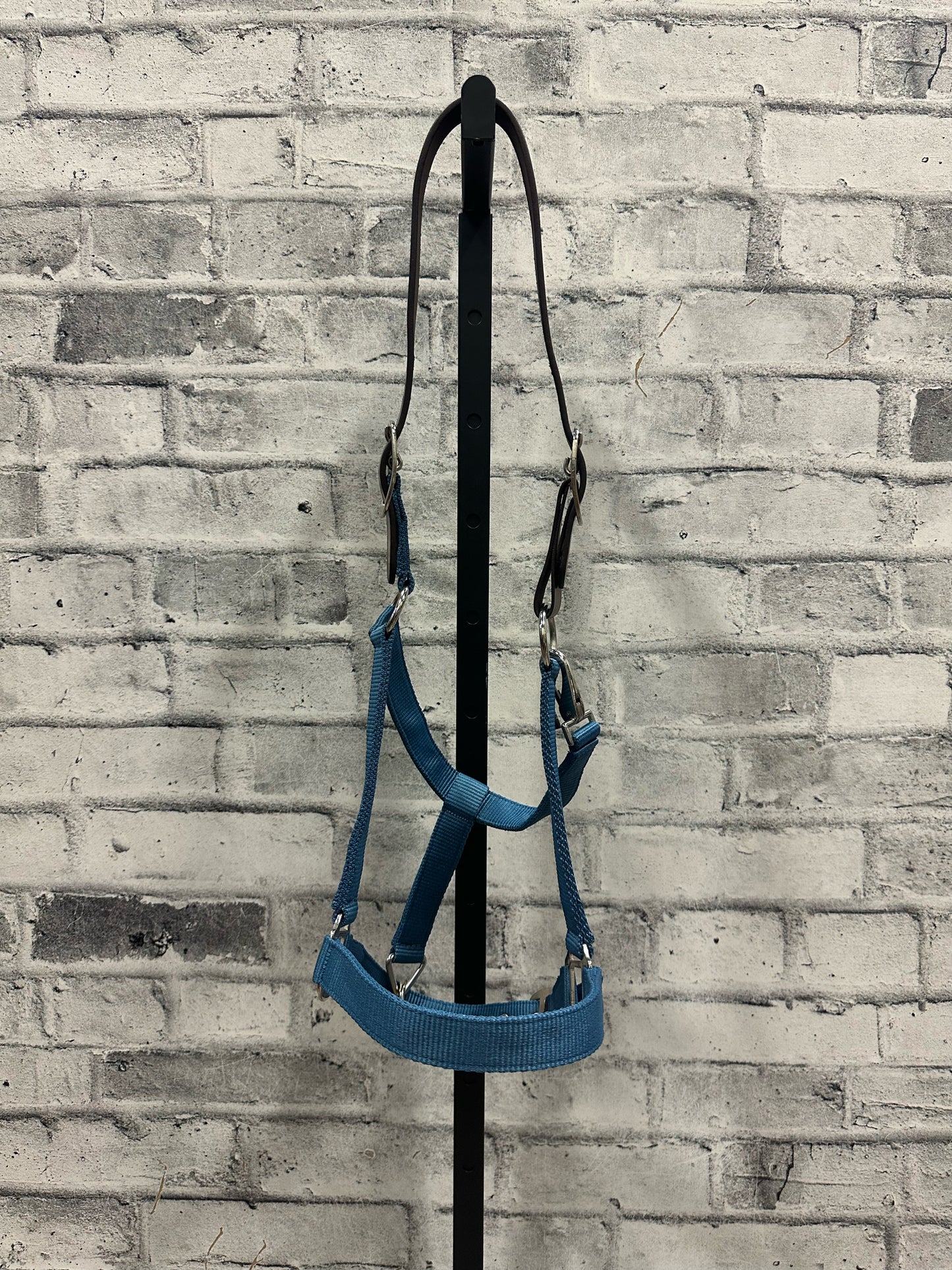 Breakaway Halter Blue F