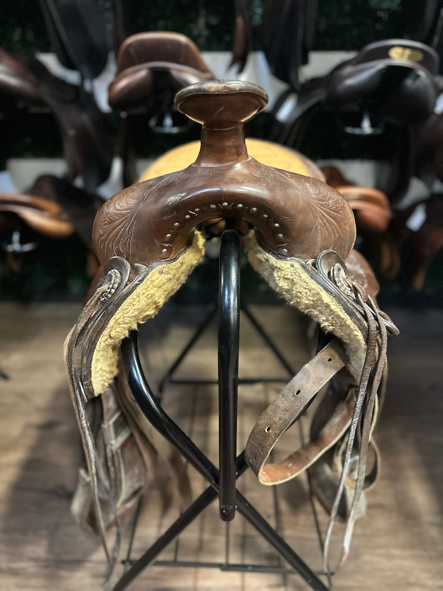 15" Eamor's Trail Saddle #1558 - Full QH (7" Gullet)
