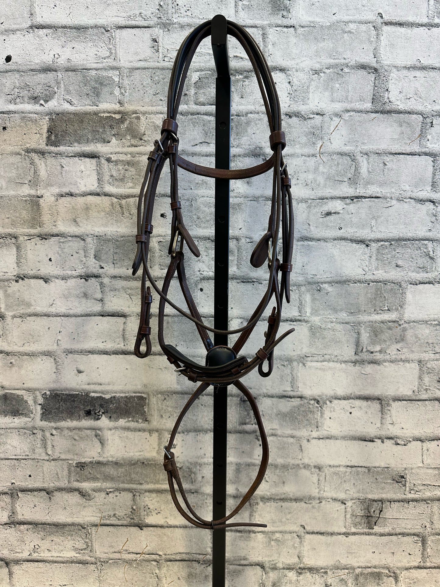 Dominus Figure 8 Hunter Bridle F
