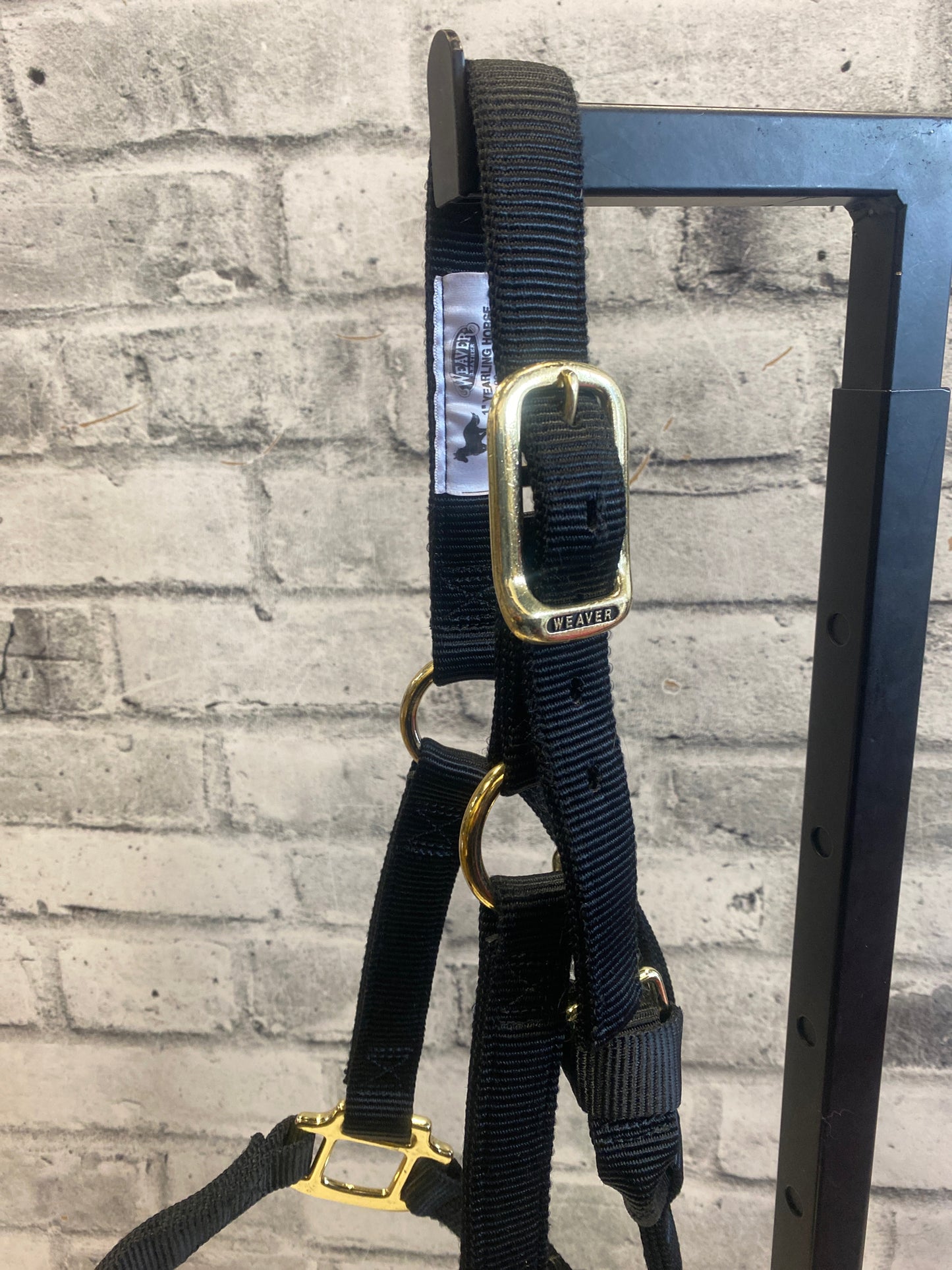 Weaver Nylon Halter Black Yearling