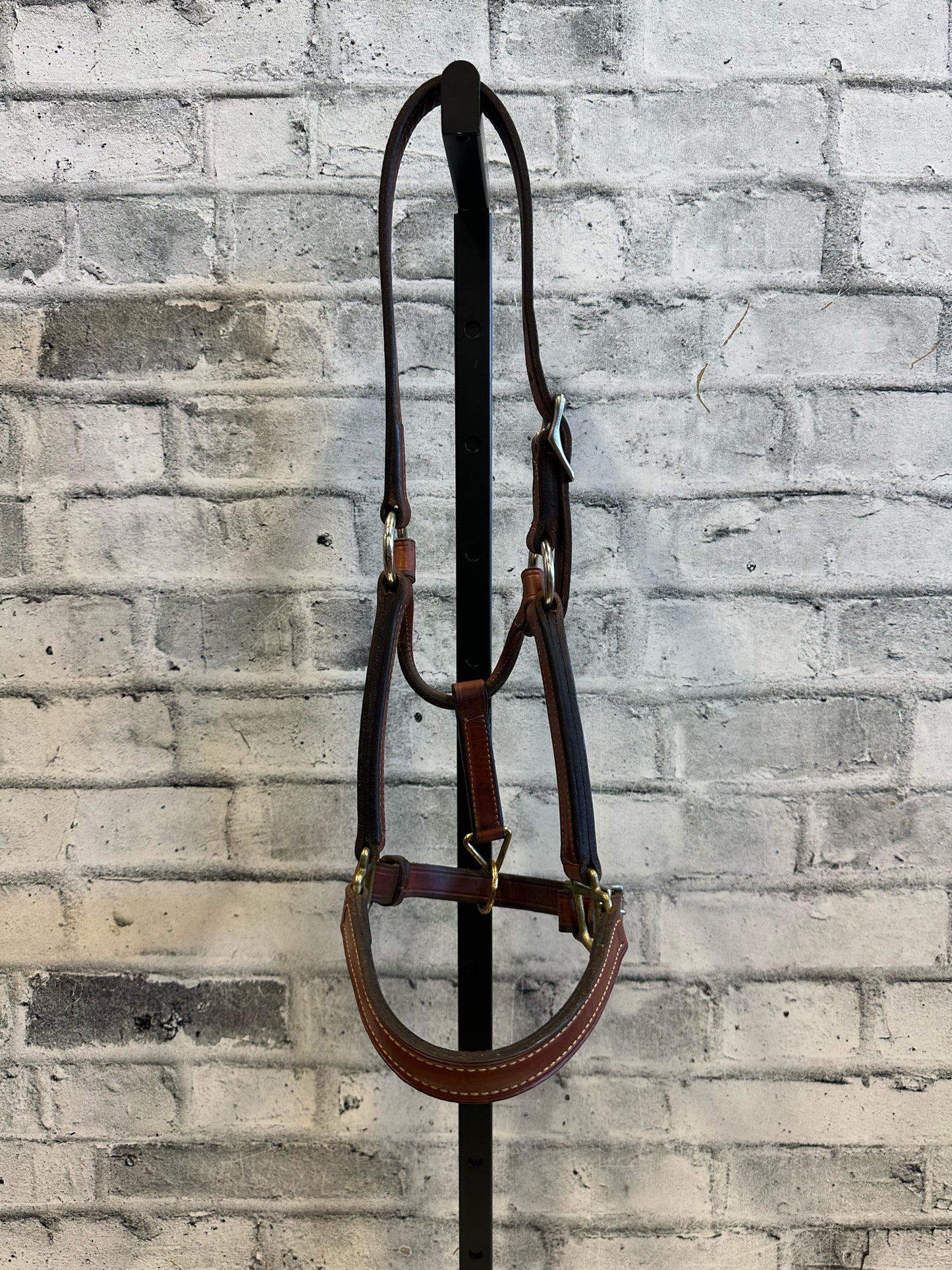 MacPherson Leather Halter Brown Yearling