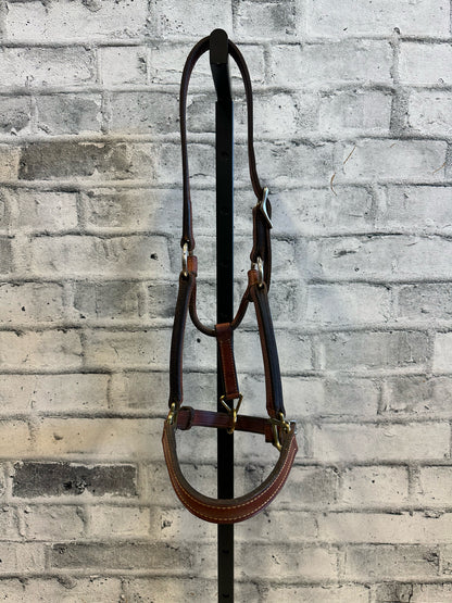 MacPherson Leather Halter Brown Yearling