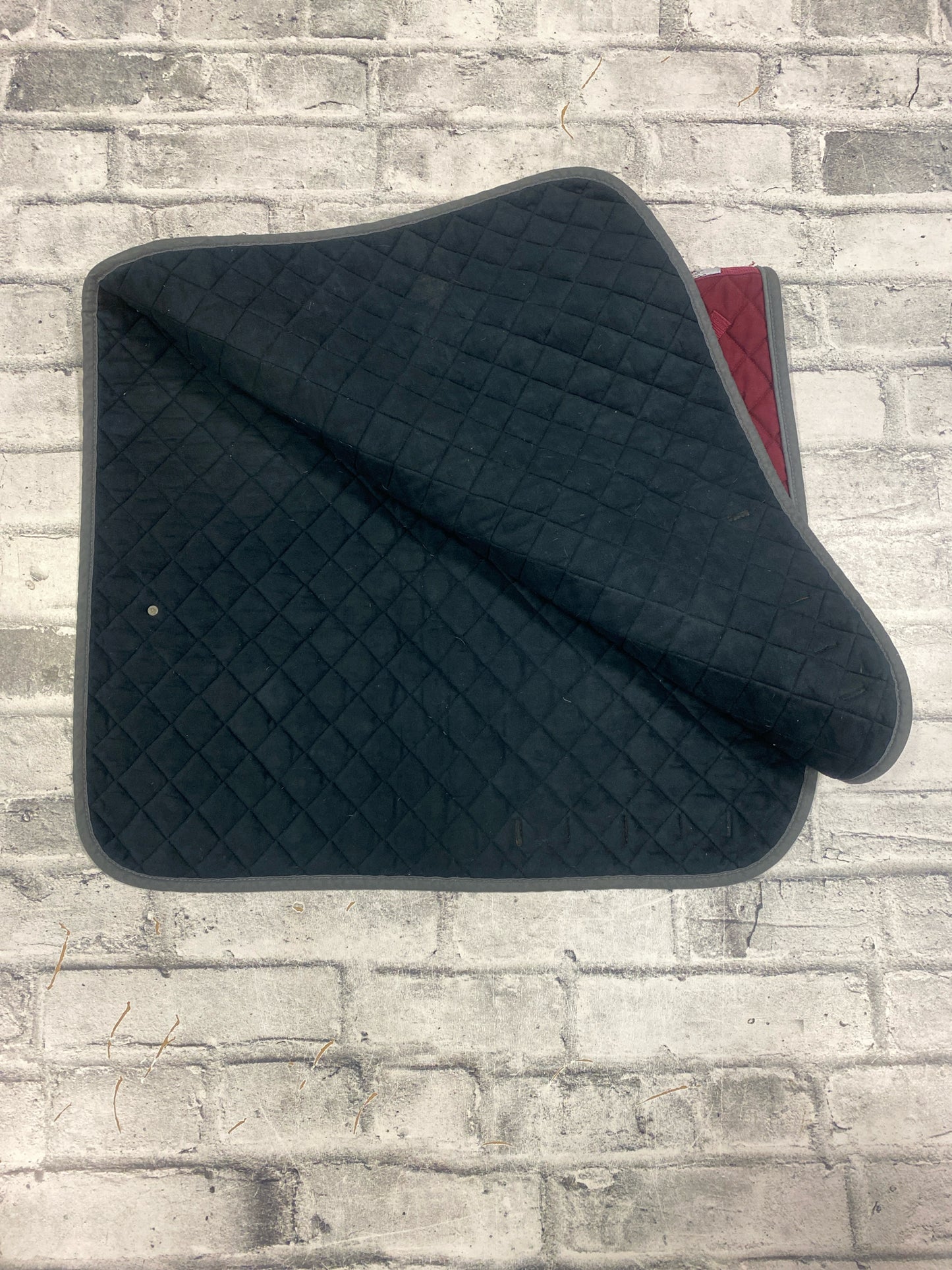 Ogilvy Dressage Pad Burgundy & Grey F