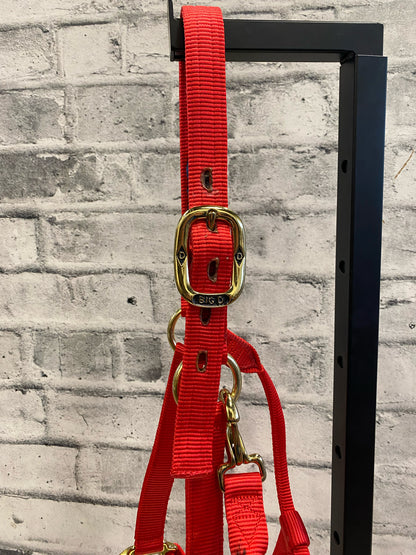 Big D Nylon Halter Red F
