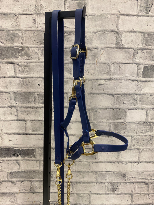 Icavalos Rubber Halter+ Chain Lead Blue Cob