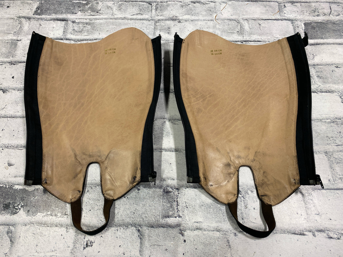 Jodz Half Chaps Black H 16" C 14"