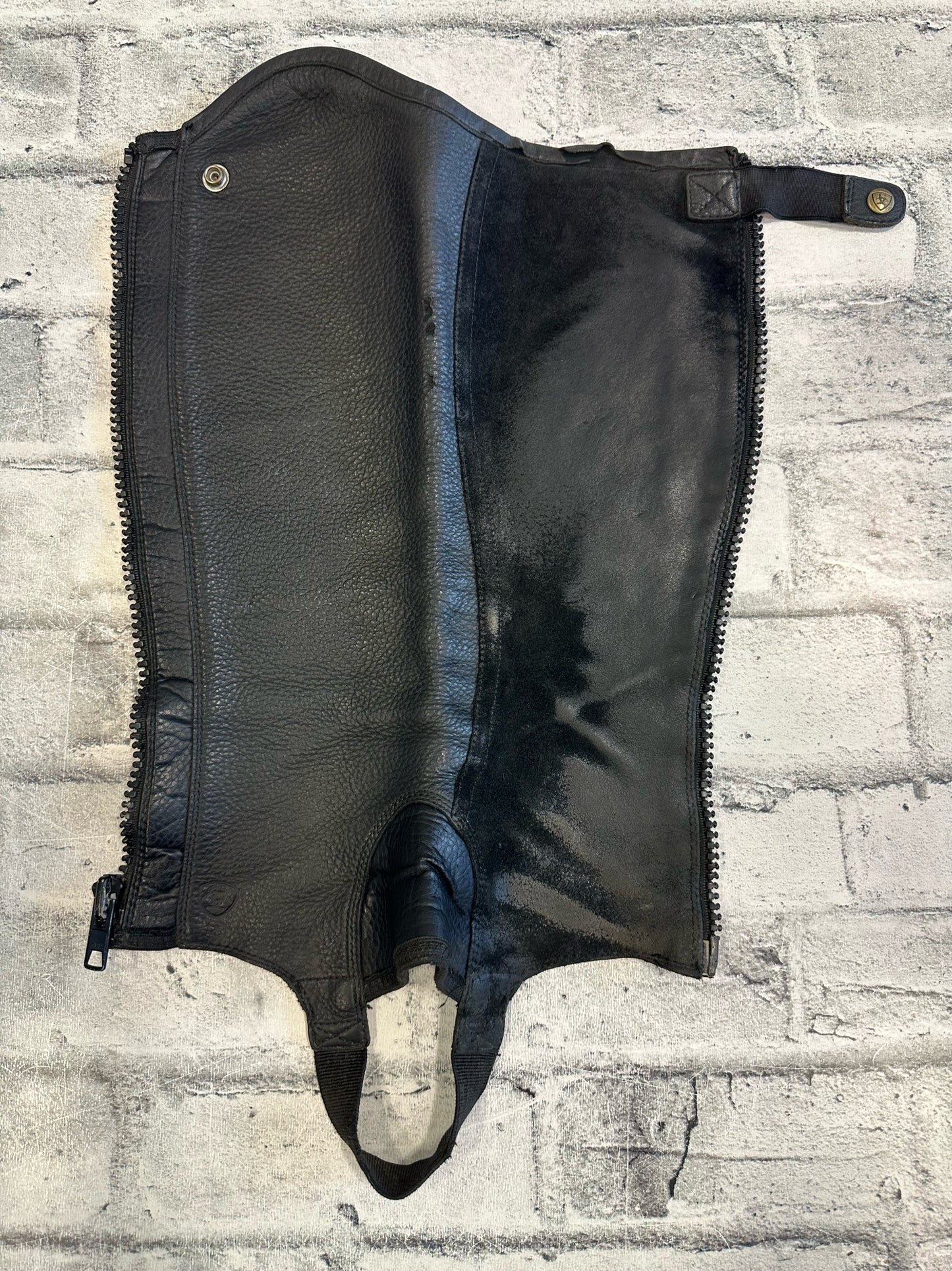Ariat Leather/Suede Half Chaps - C 13" H 16"