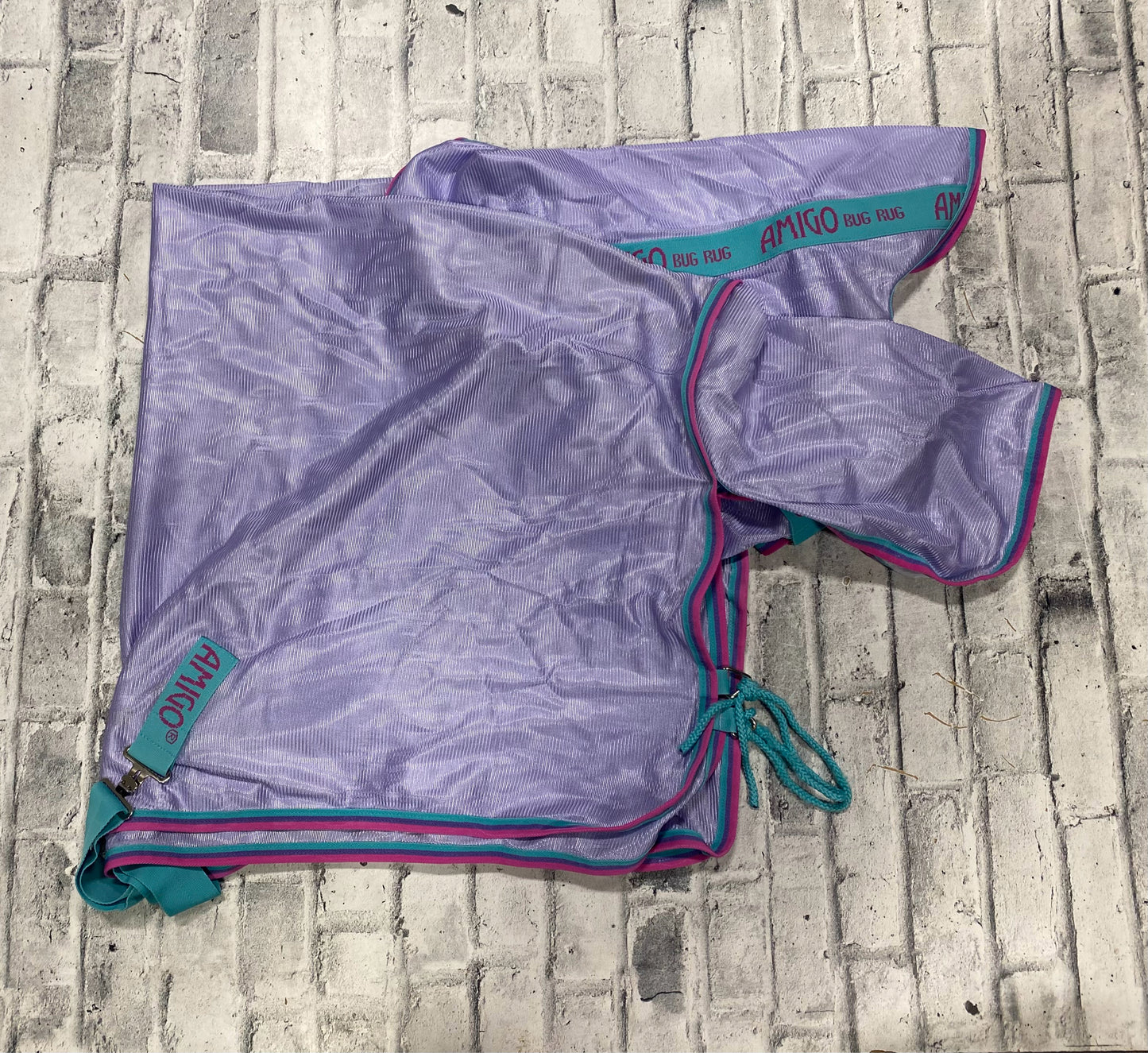 54" Amigo Bug Rug Violet/Pink/Aqua