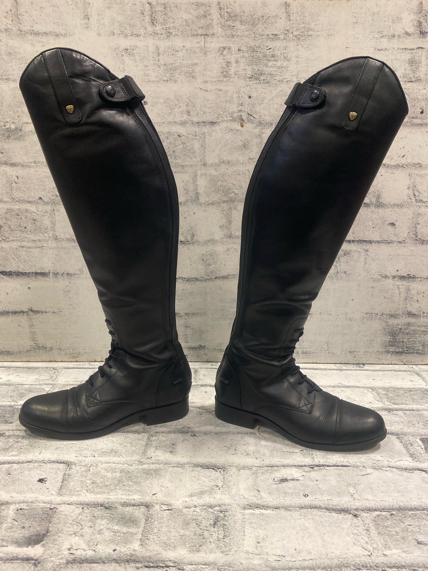 Ariat Field Boots Black 8.5 H 19" C 14"