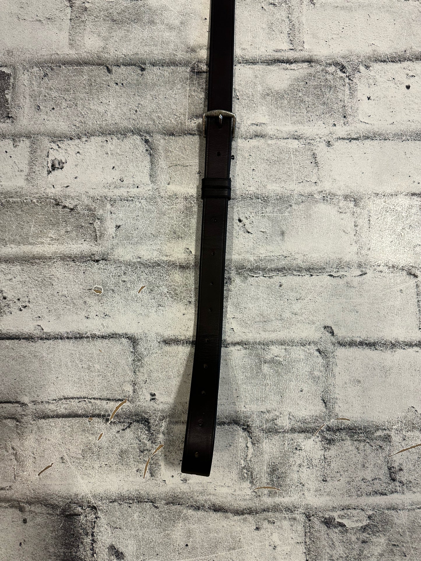 Running Martingale Brown F