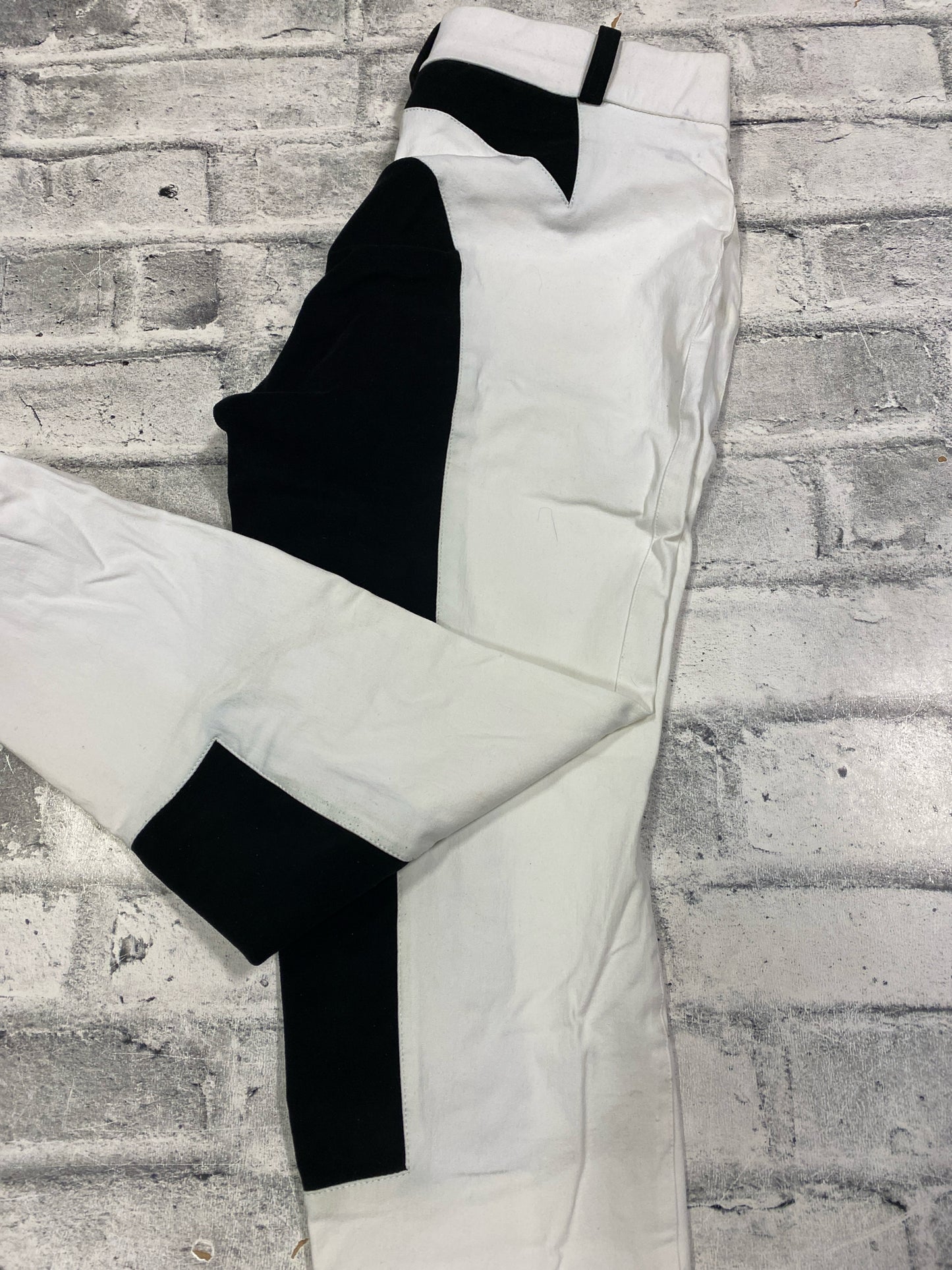 Arista FS Breeches White & Black 32R