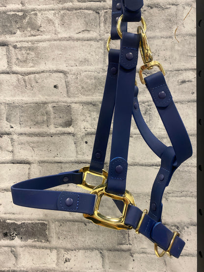 Icavalos Rubber Halter+ Chain Lead Blue Cob