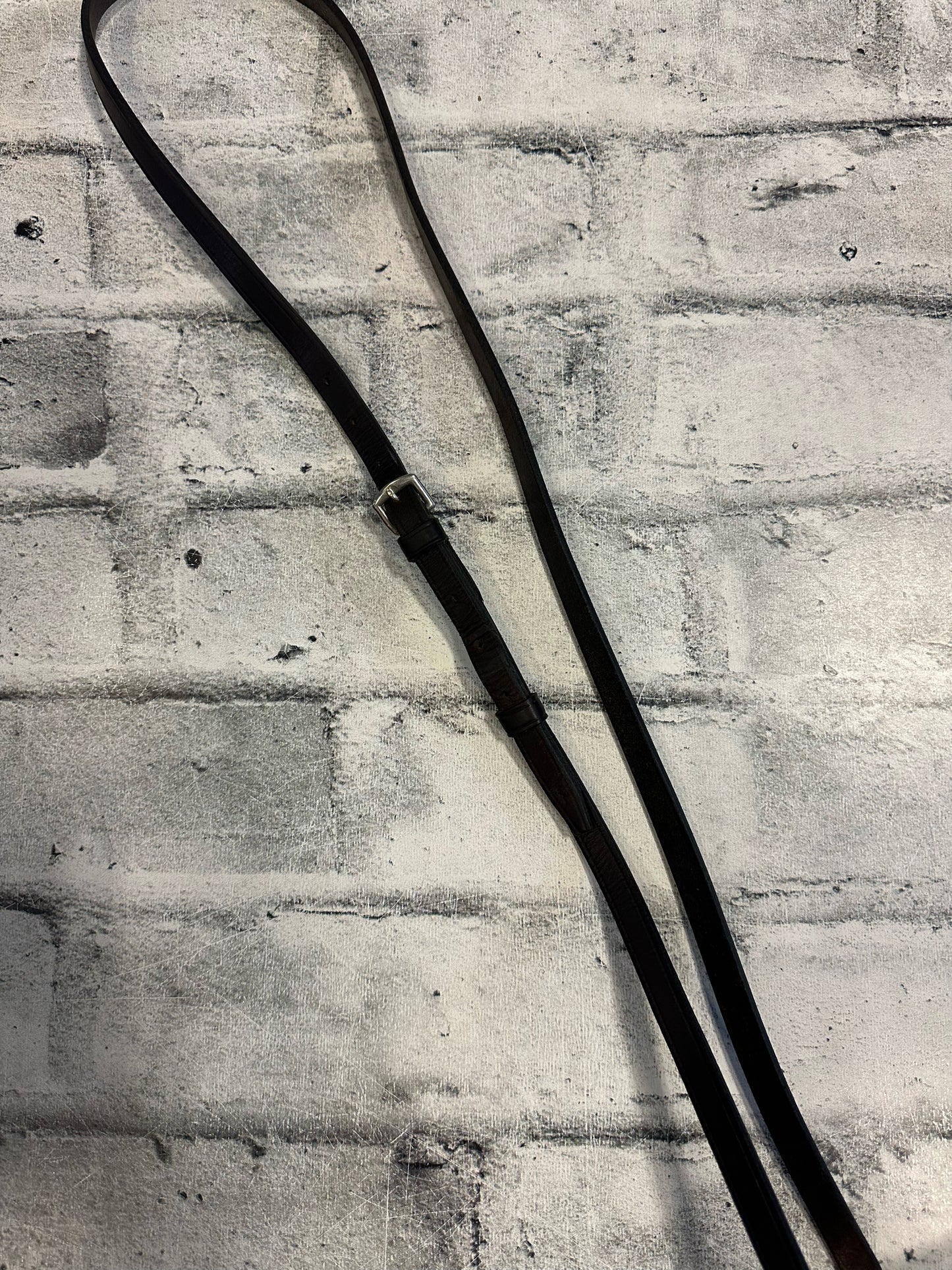 Running Martingale Brown F