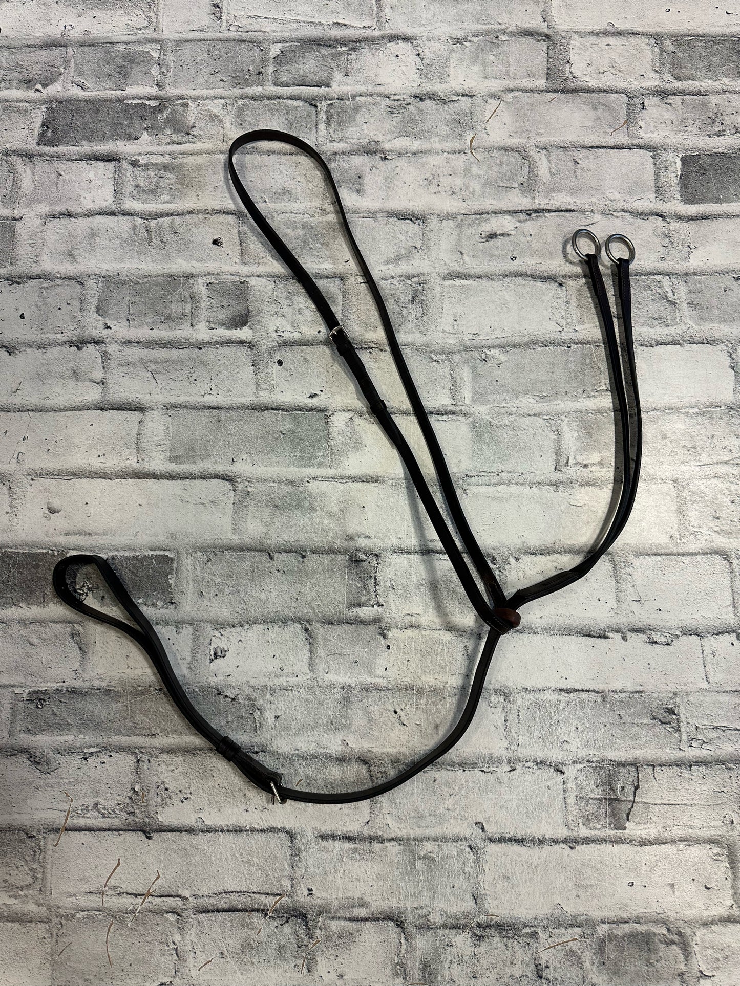 Running Martingale Brown F