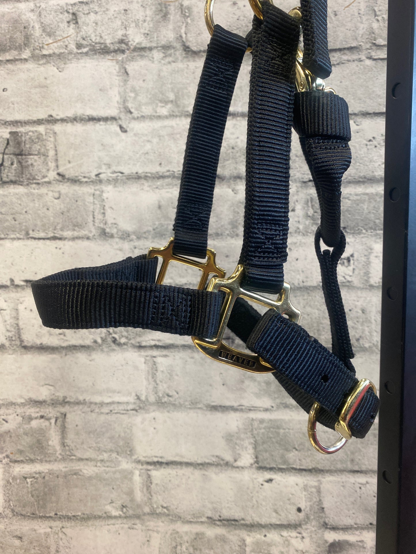 Weaver Nylon Halter Black Yearling