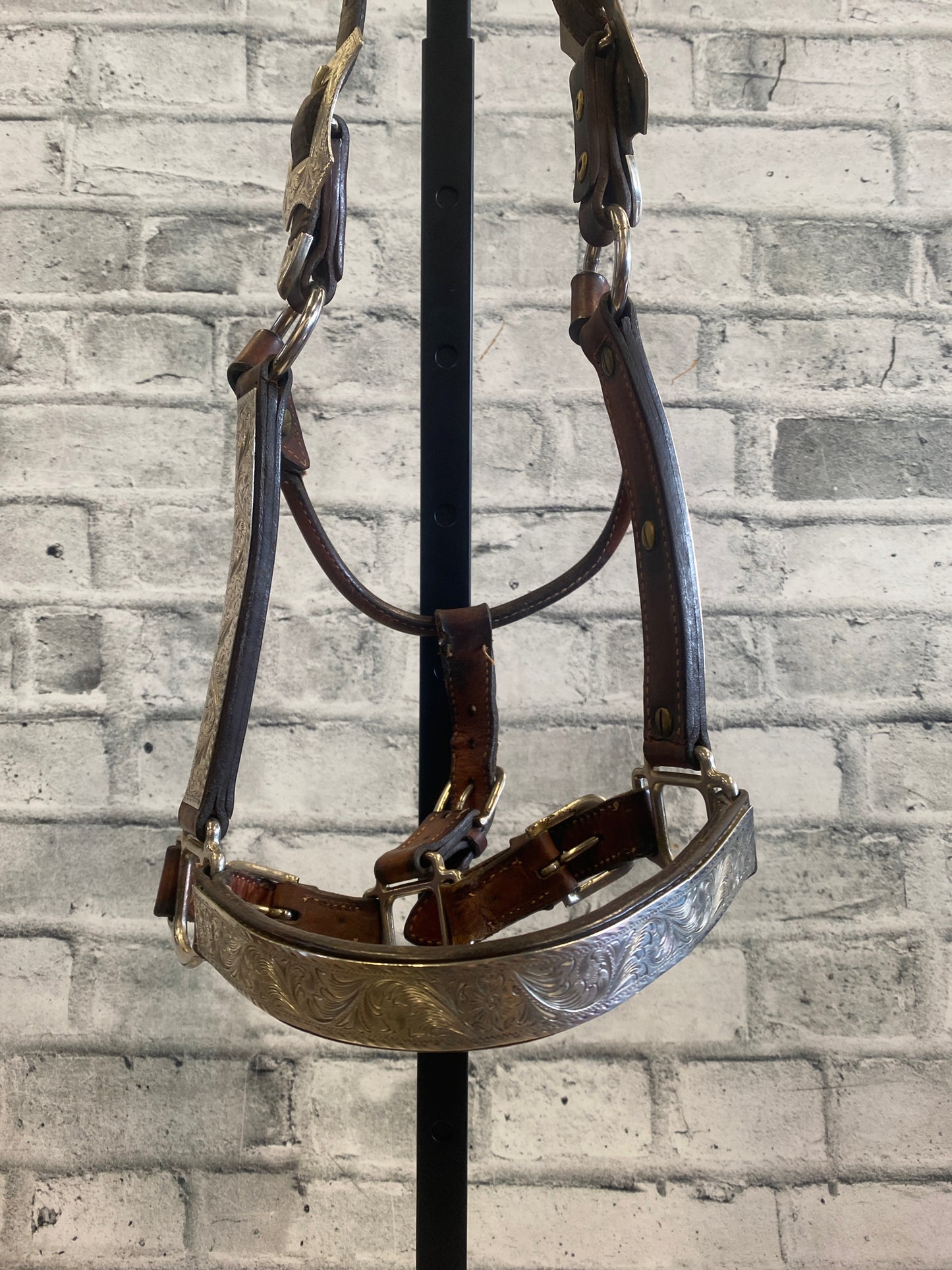 Kathy's Silver Show Halter Small Horse