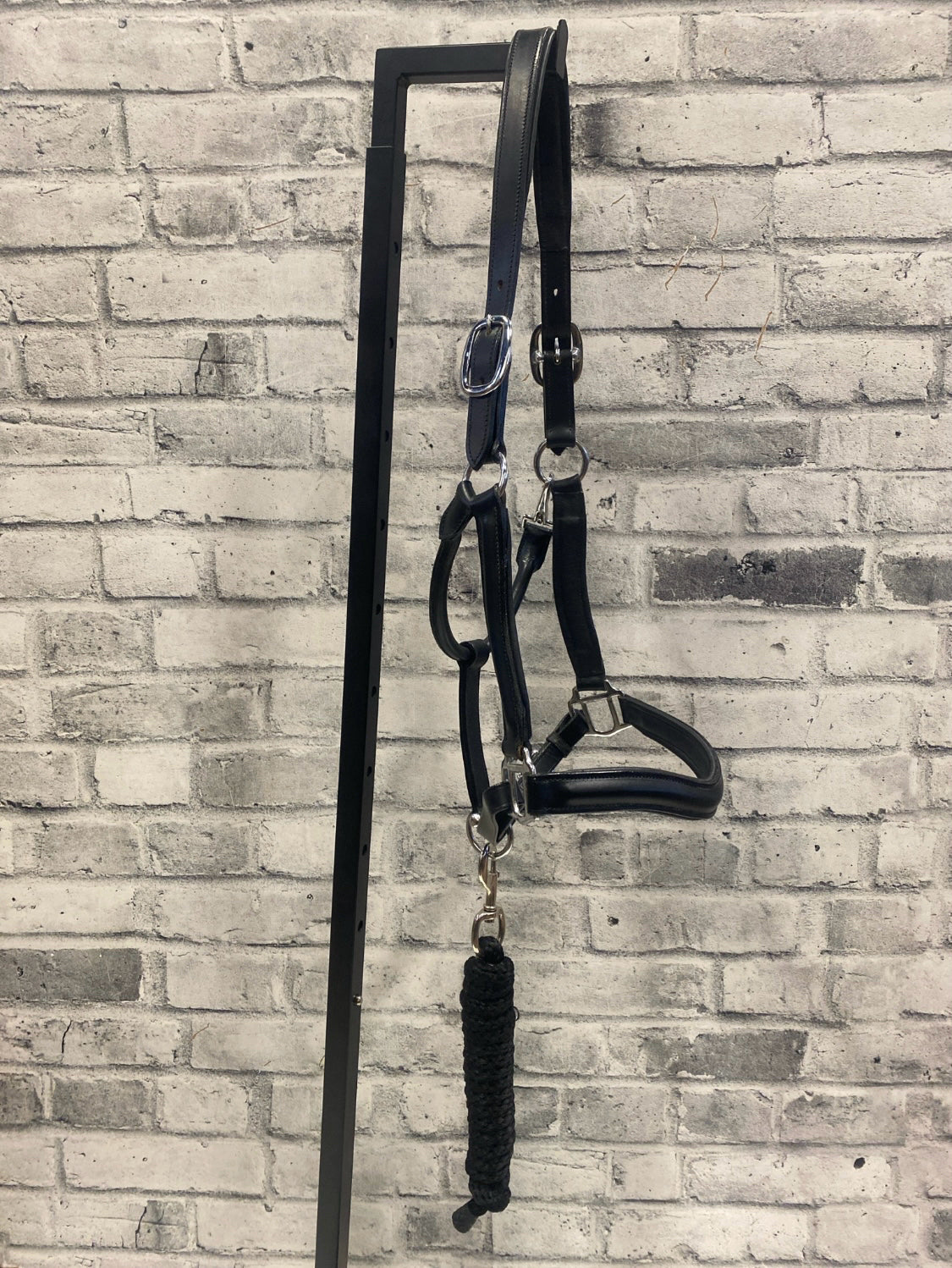Leather Halter Black XF w/ Lead Rope