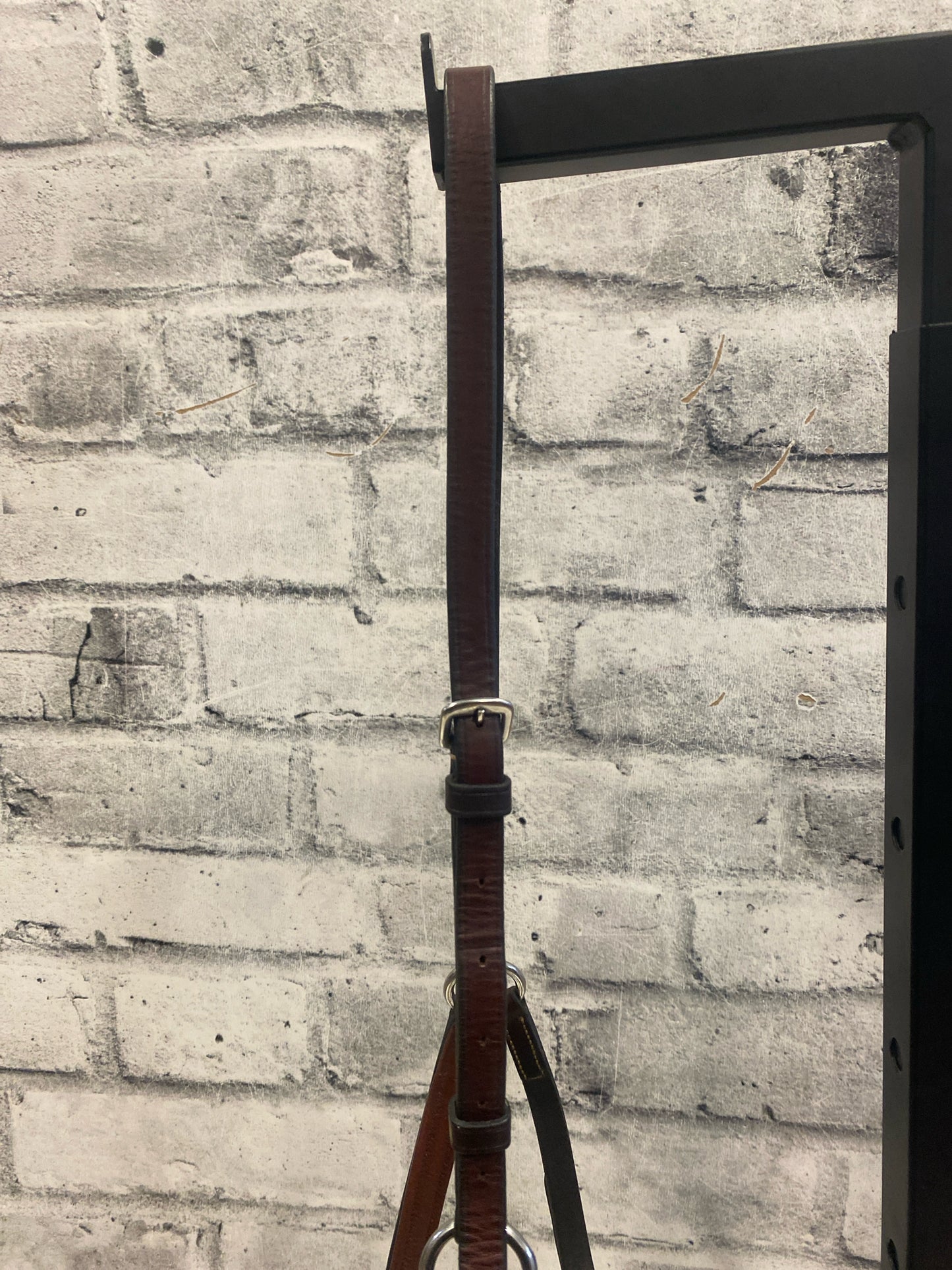 Raised Figure-8 Noseband Brown F