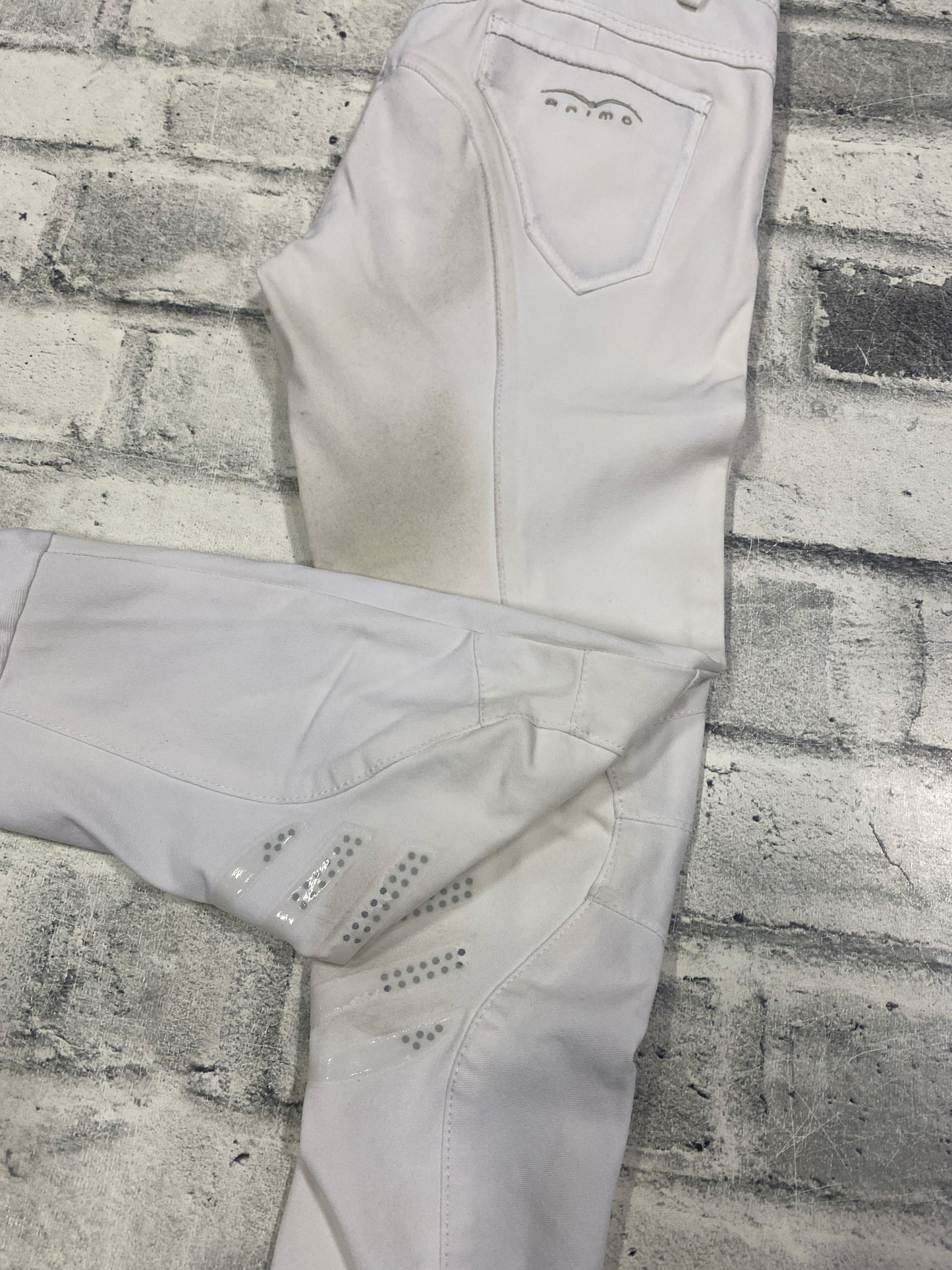Animo KP Breeches White Childrens 10